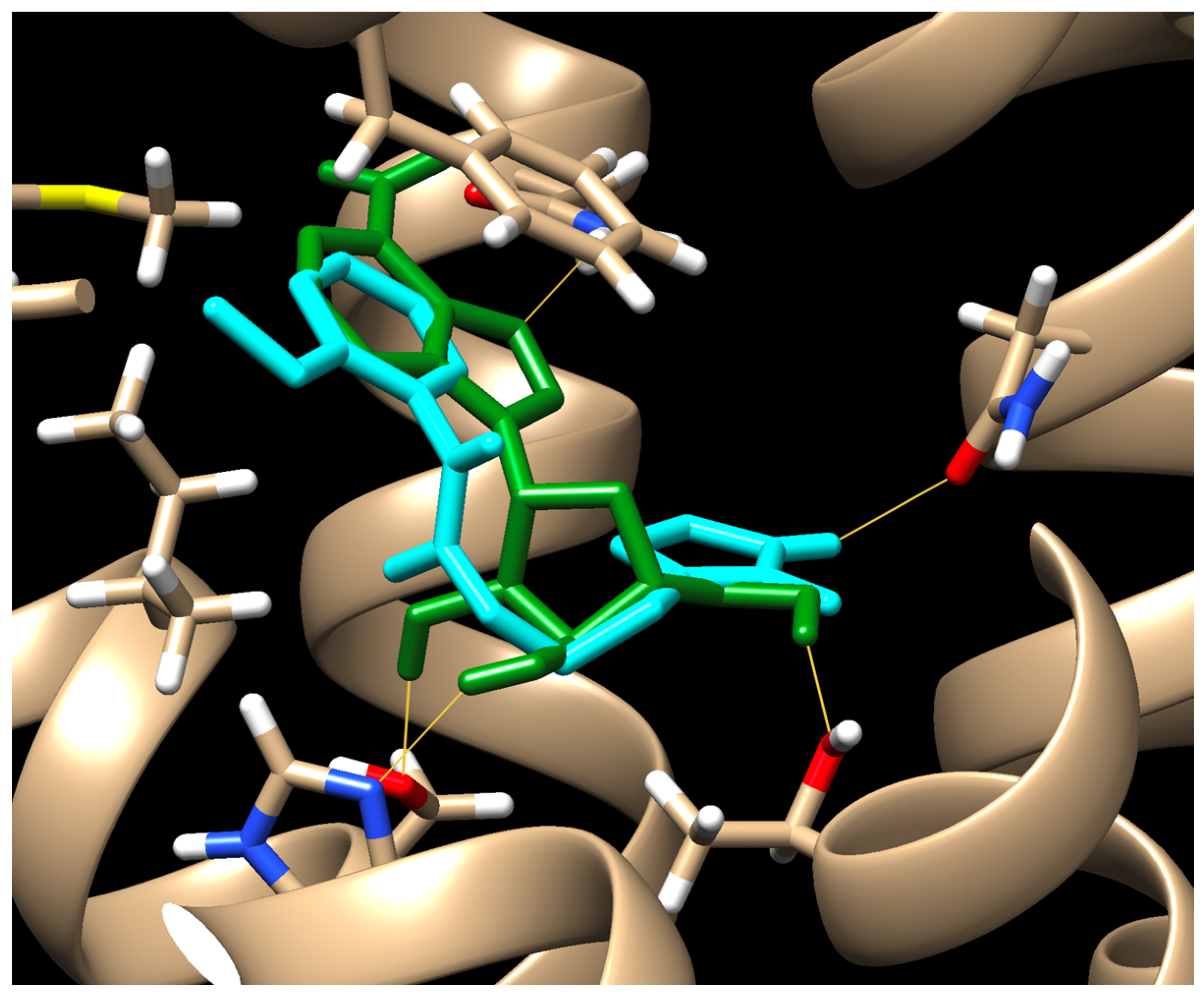 Biomedicines 13 00316 g006
