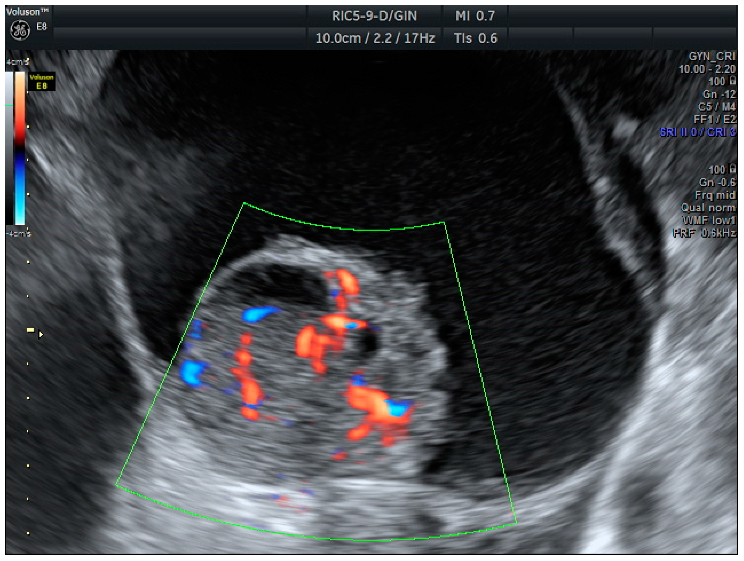Biomedicines 13 00317 g002
