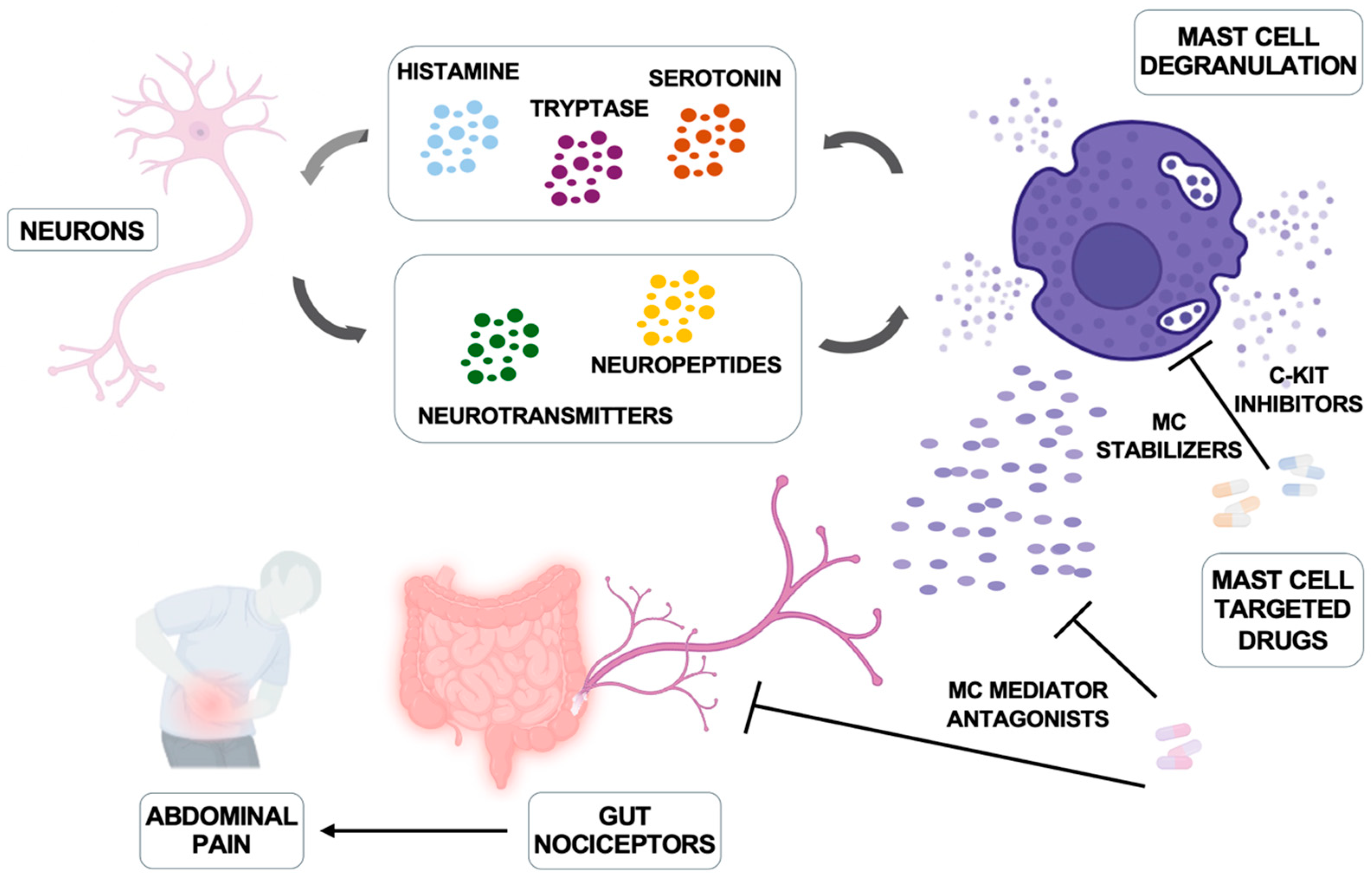 Biomedicines 13 00320 g002 Biomedicines 13 00320 g002