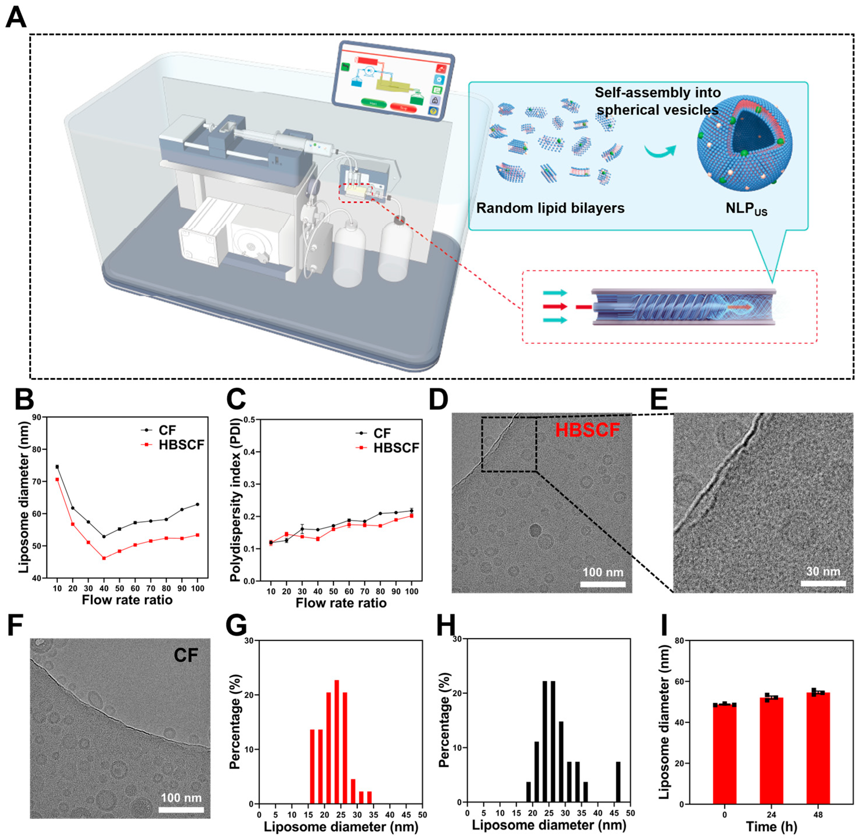 Biomedicines 13 00322 g002