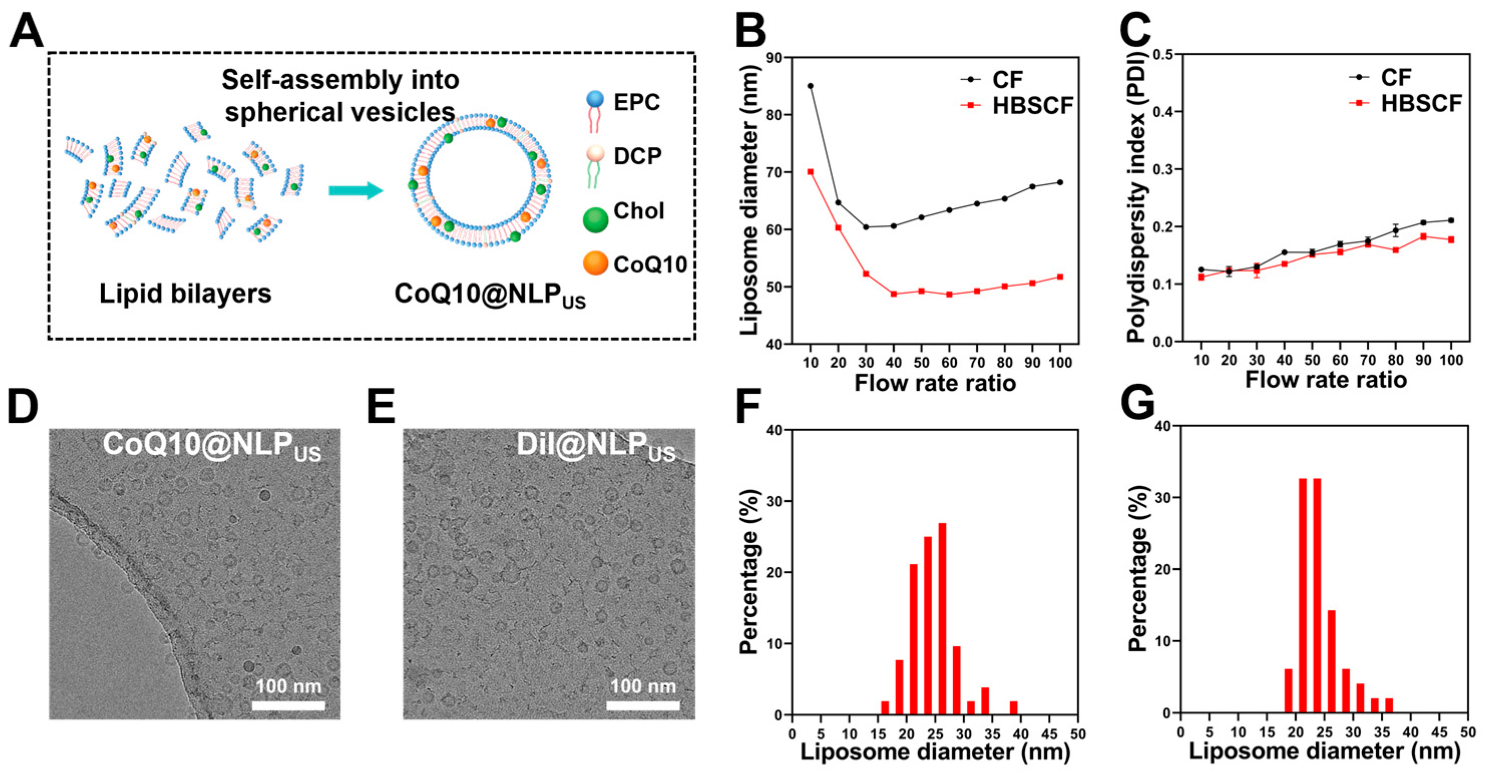 Biomedicines 13 00322 g003