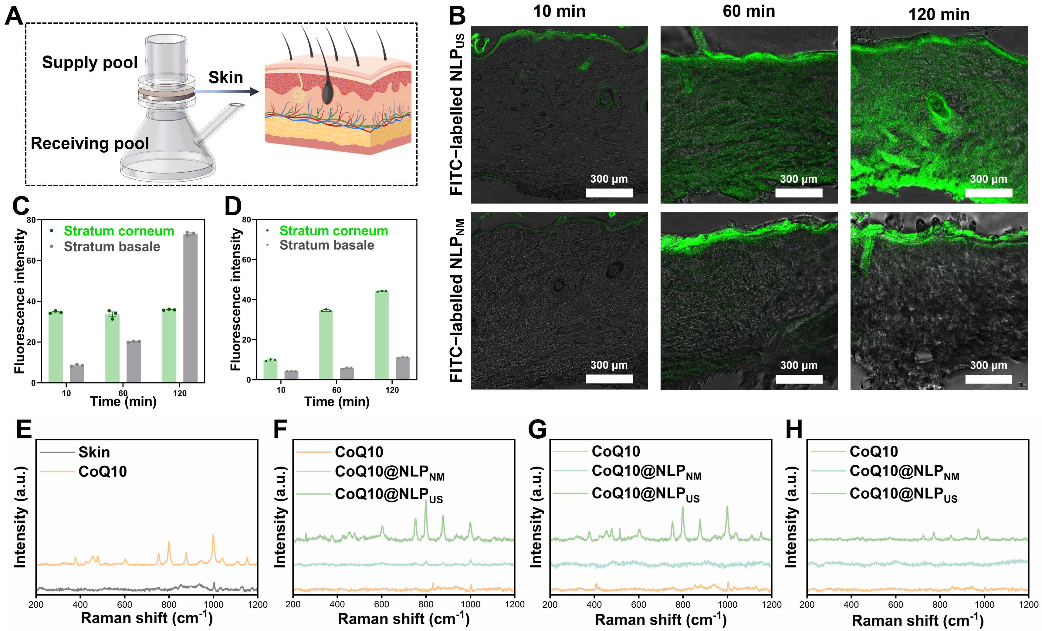 Biomedicines 13 00322 g004