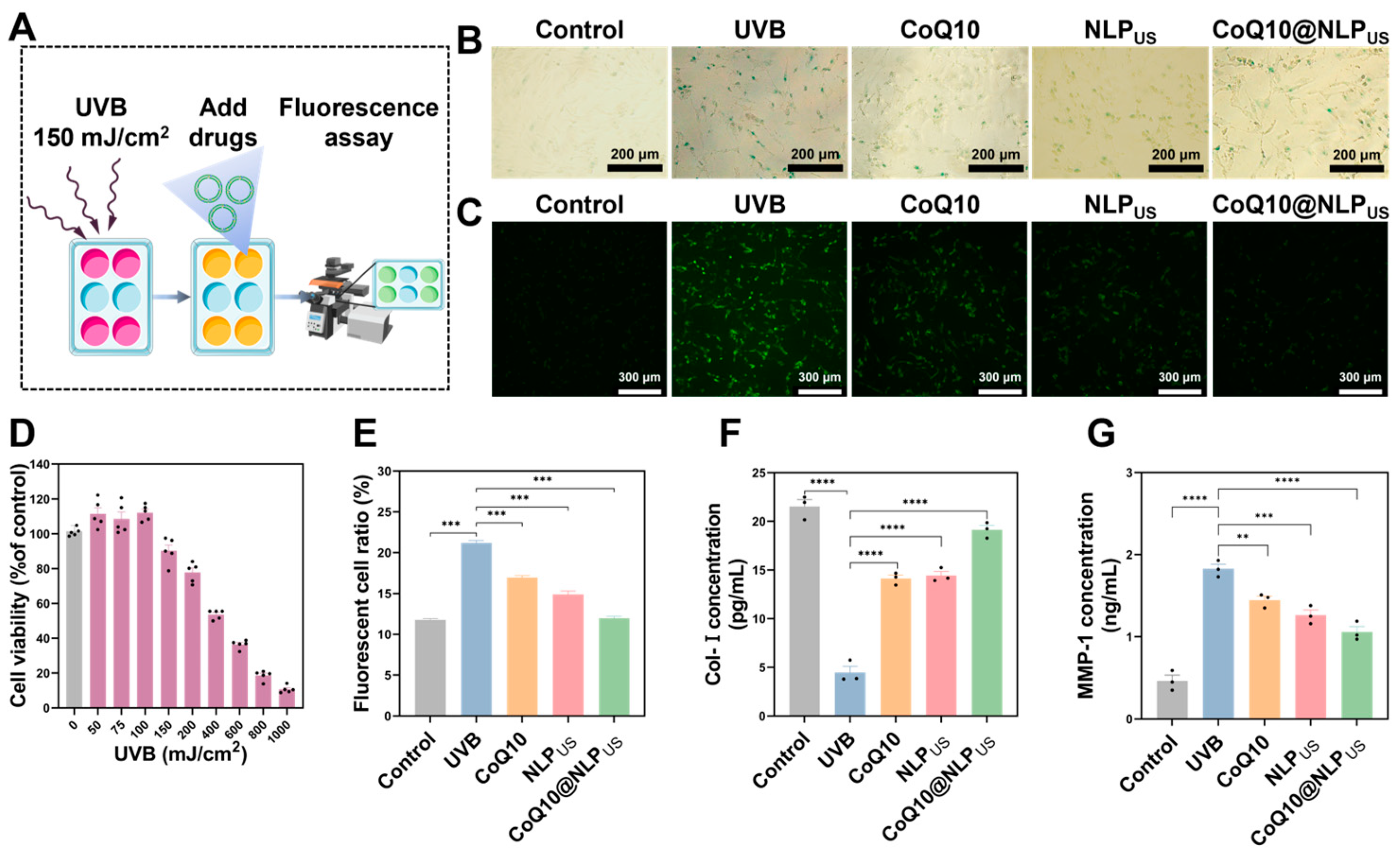 Biomedicines 13 00322 g005