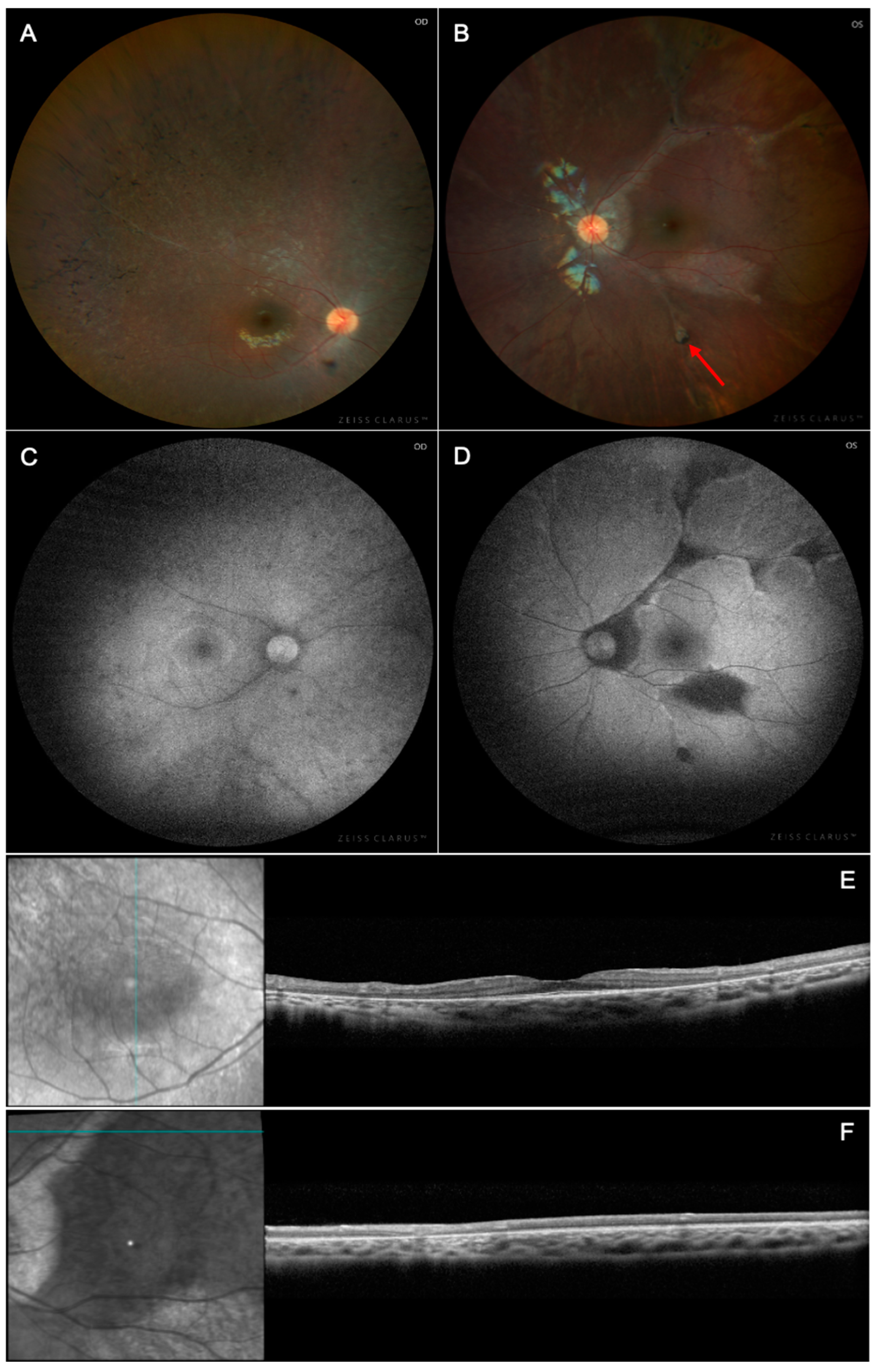 Biomedicines 13 00323 g001