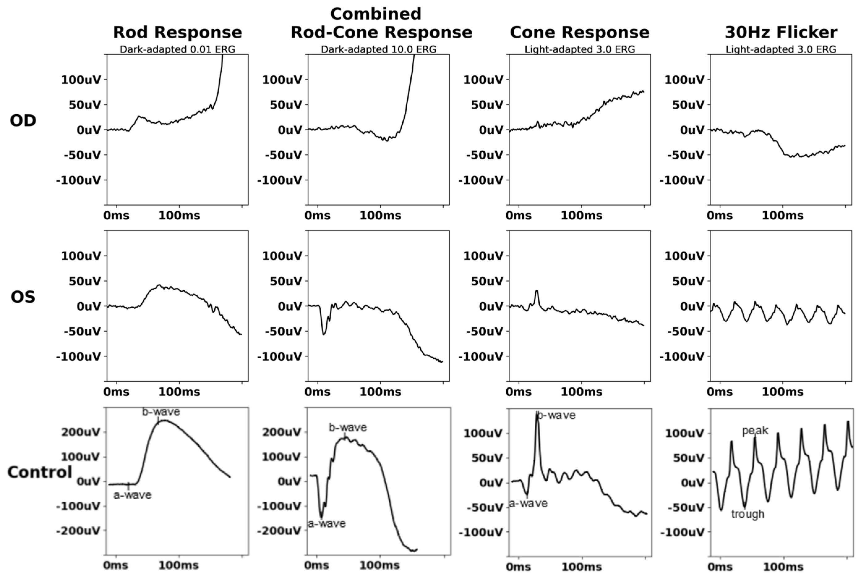 Biomedicines 13 00323 g003