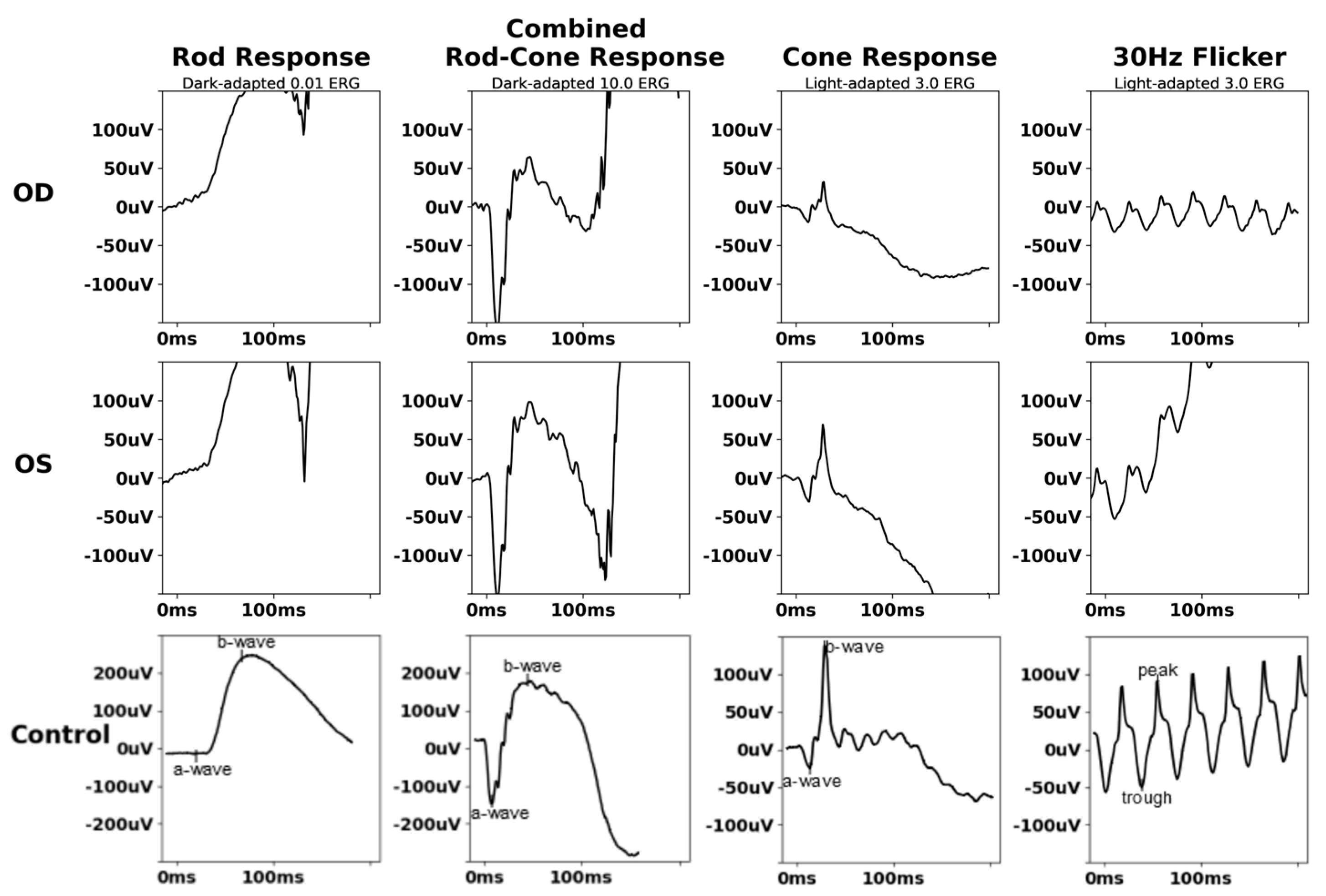 Biomedicines 13 00323 g005