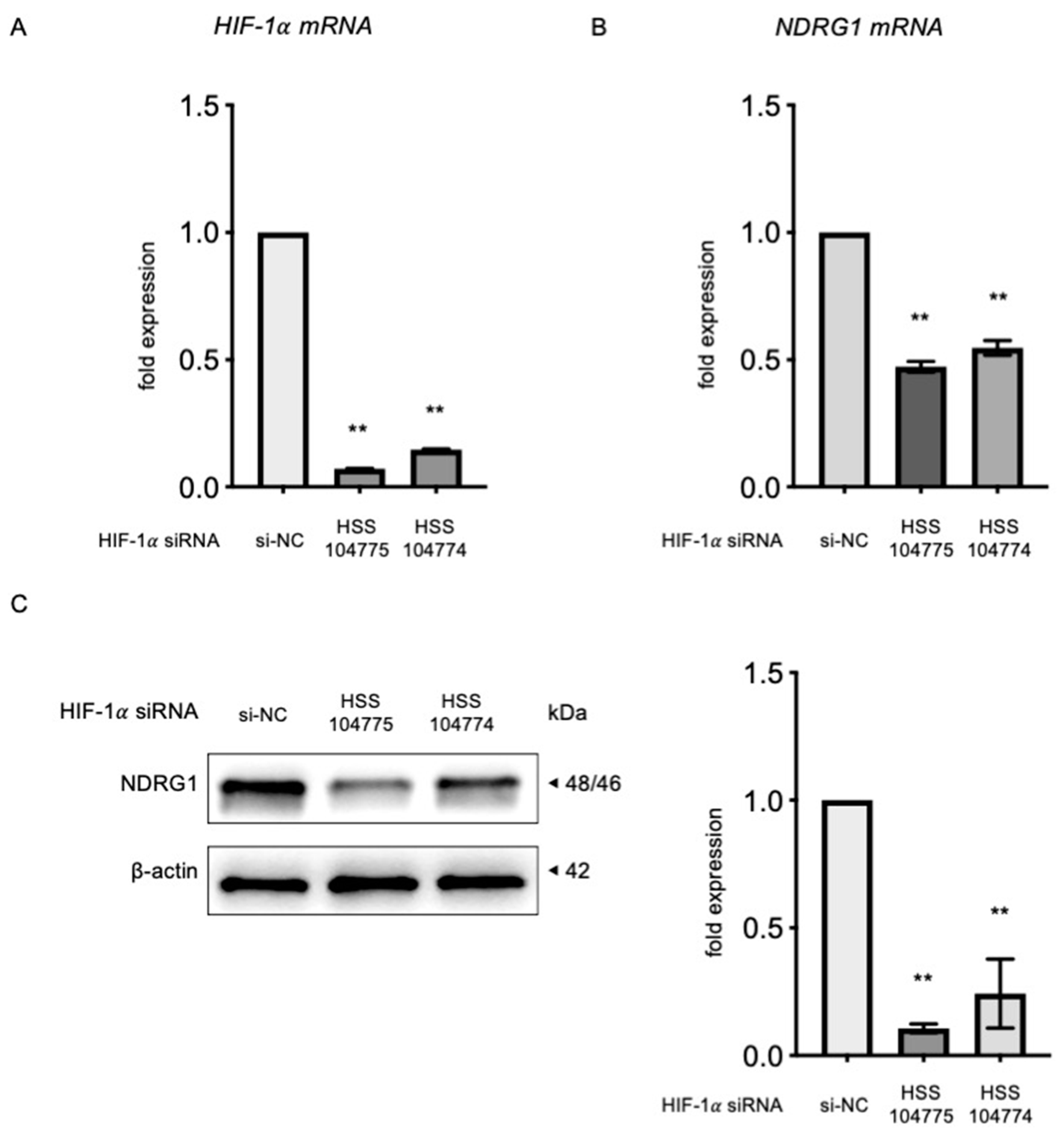 Biomedicines 13 00328 g003