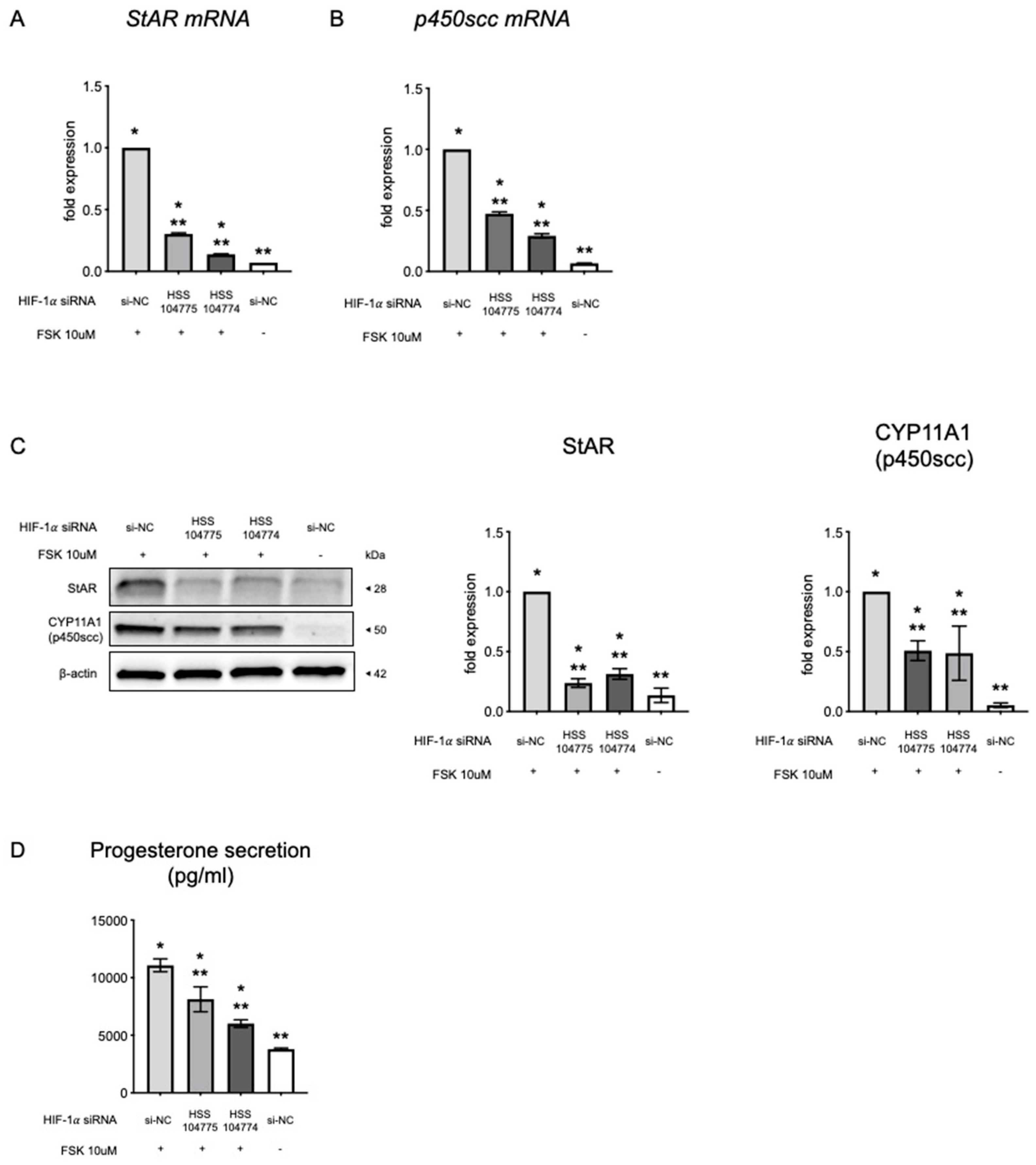 Biomedicines 13 00328 g004