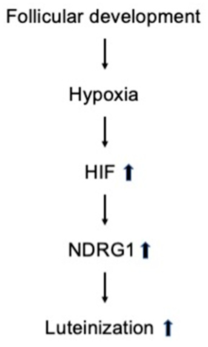 Biomedicines 13 00328 g005