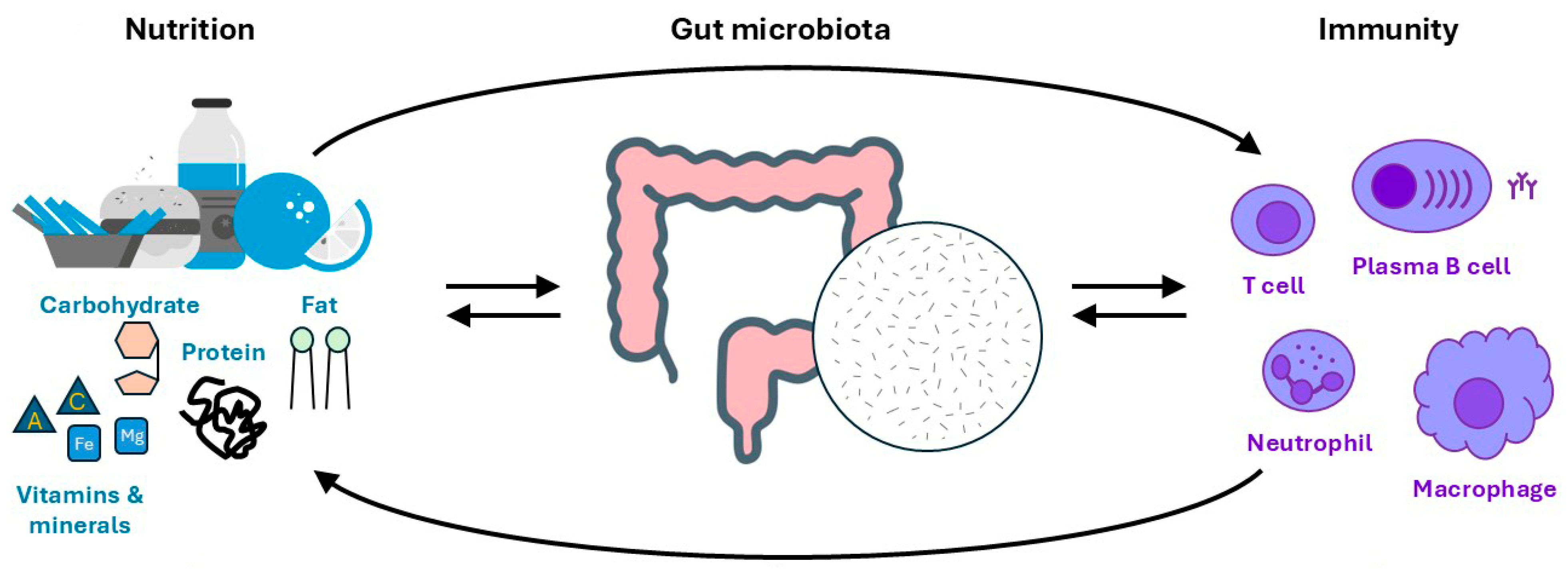Biomedicines 13 00329 g001