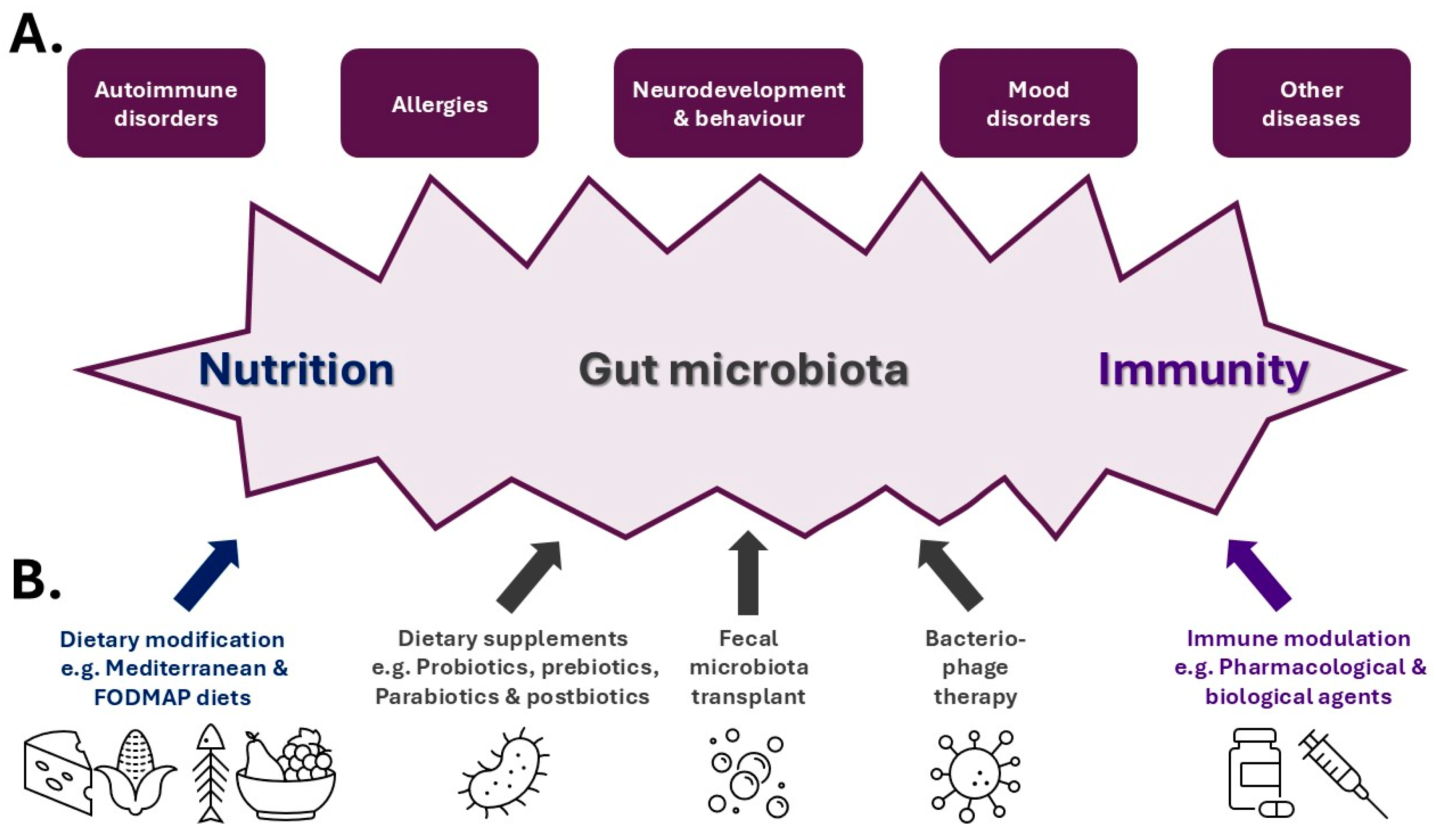 Biomedicines 13 00329 g002