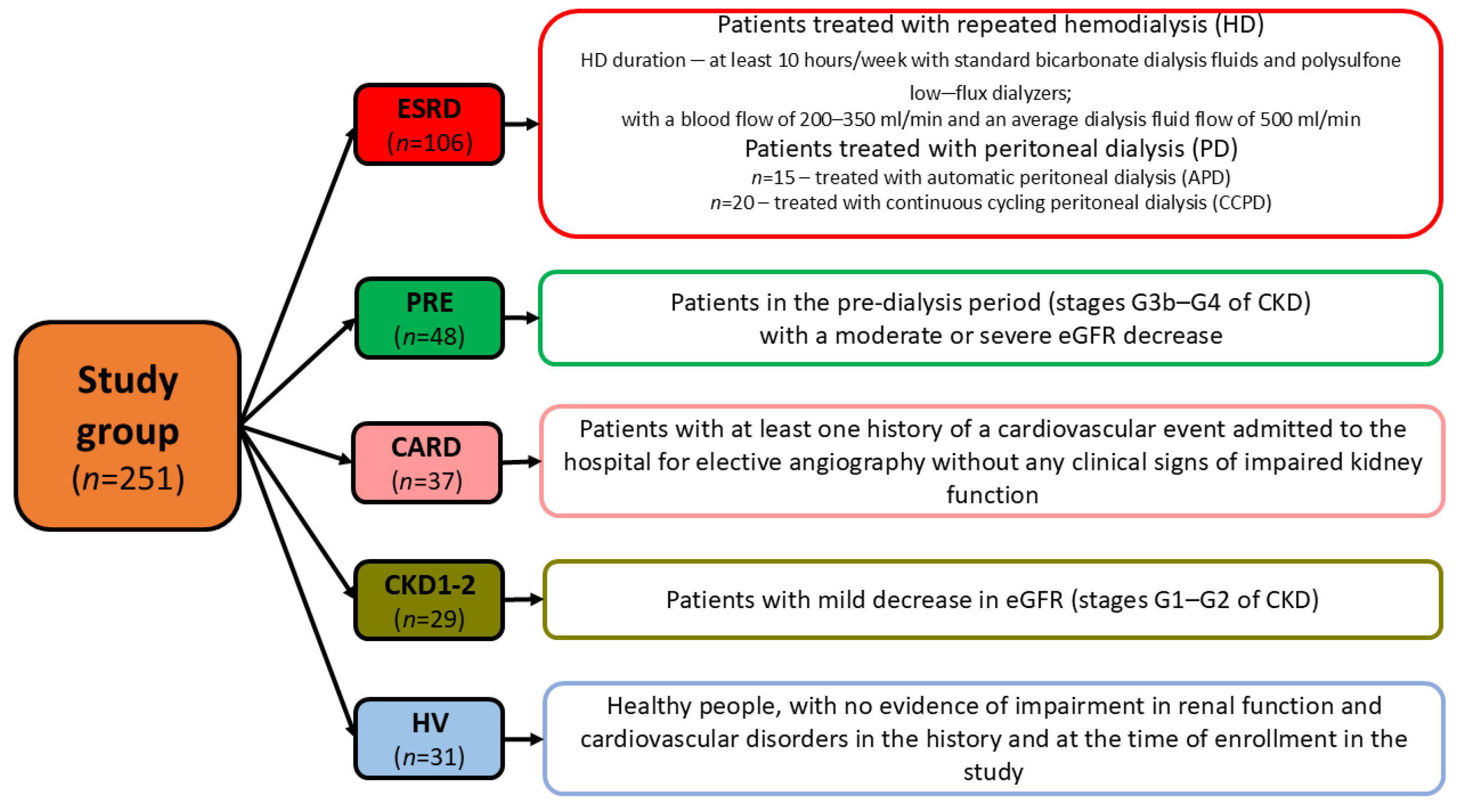 Biomedicines 13 00335 g001