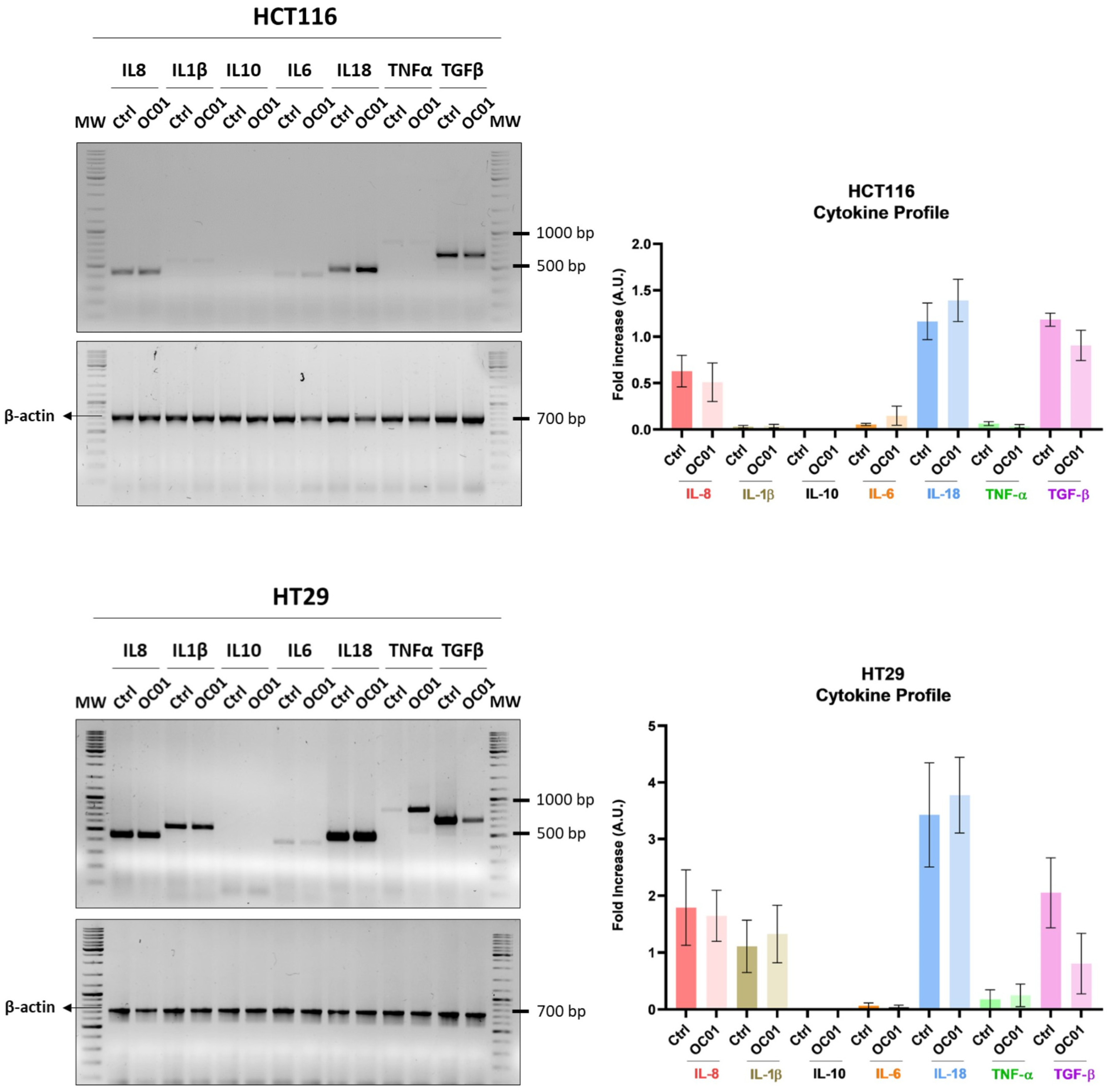 Biomedicines 13 00339 g003