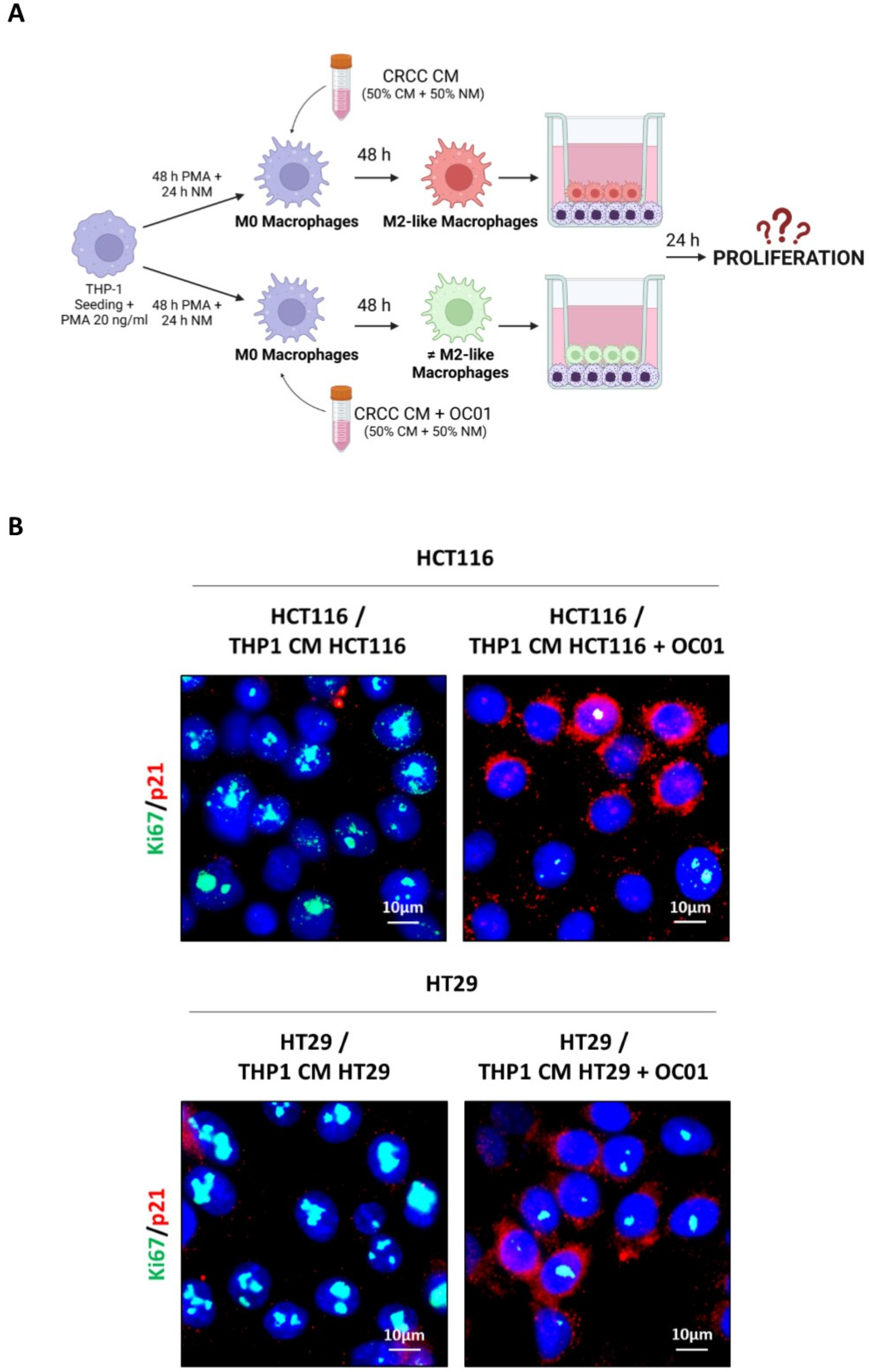 Biomedicines 13 00339 g005a