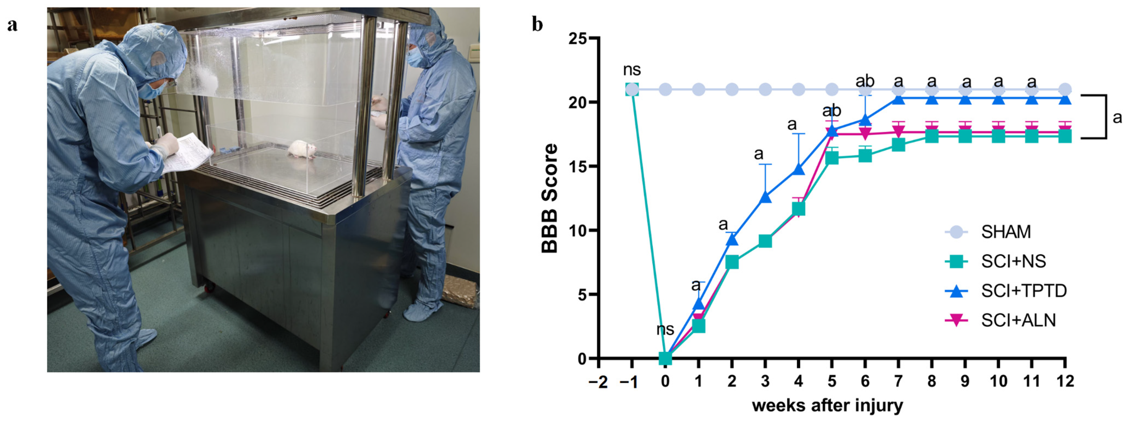 Biomedicines 13 00342 g003 Biomedicines 13 00342 g003