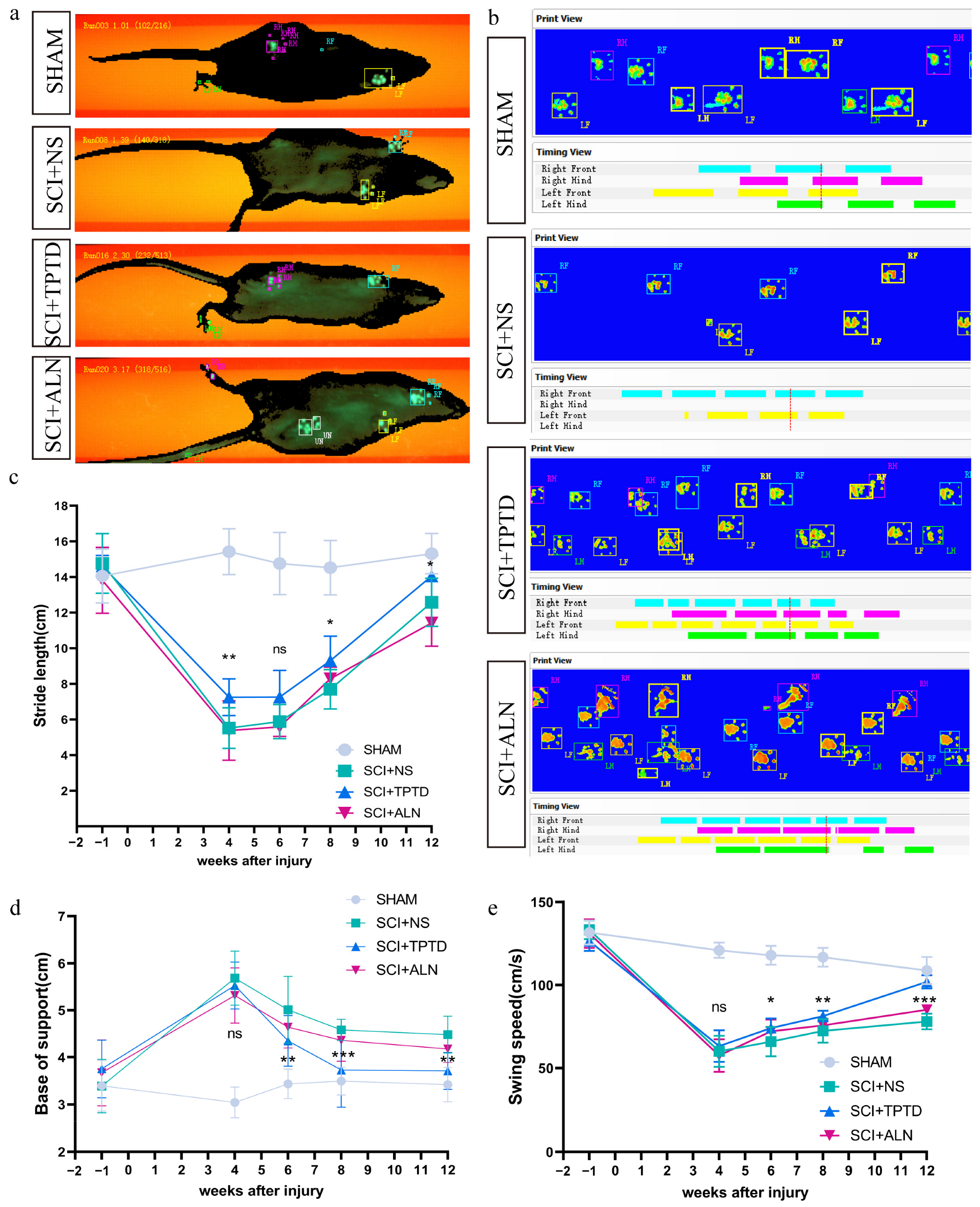Biomedicines 13 00342 g004 Biomedicines 13 00342 g004
