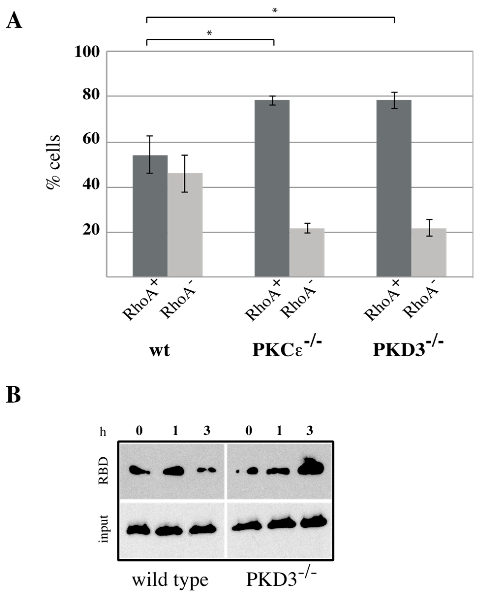 Biomedicines 13 00345 g005 Biomedicines 13 00345 g005