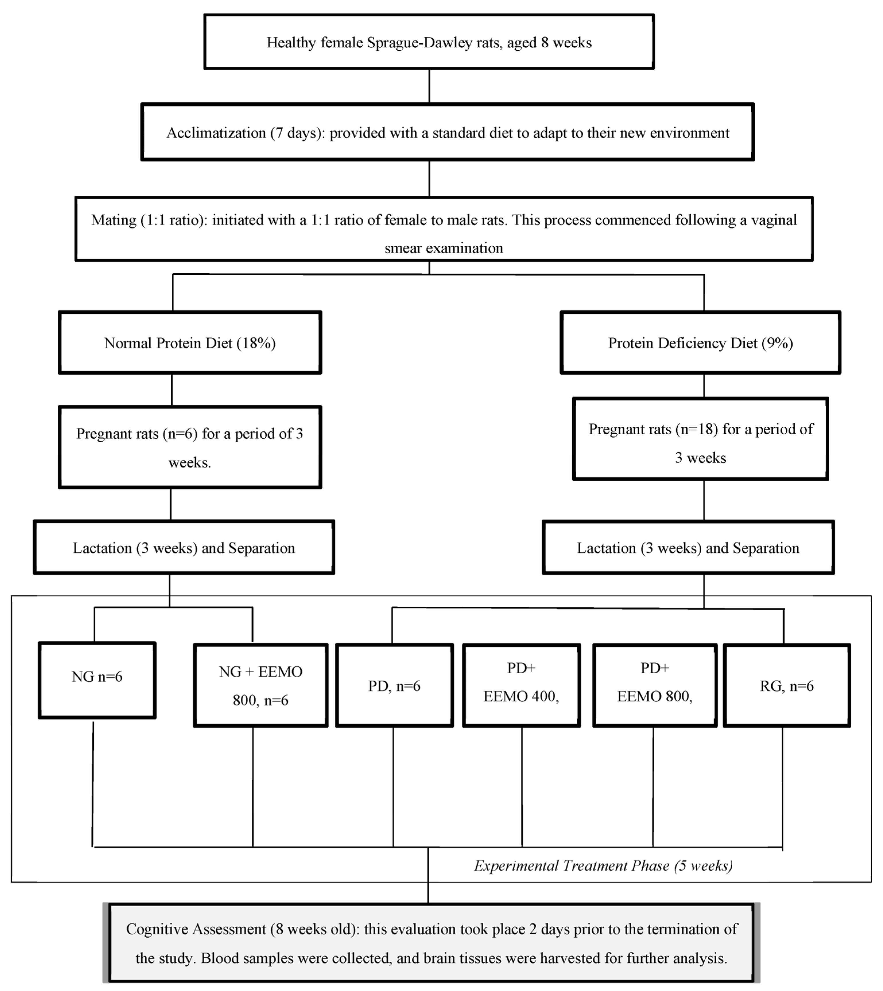 Biomedicines 13 00346 g001