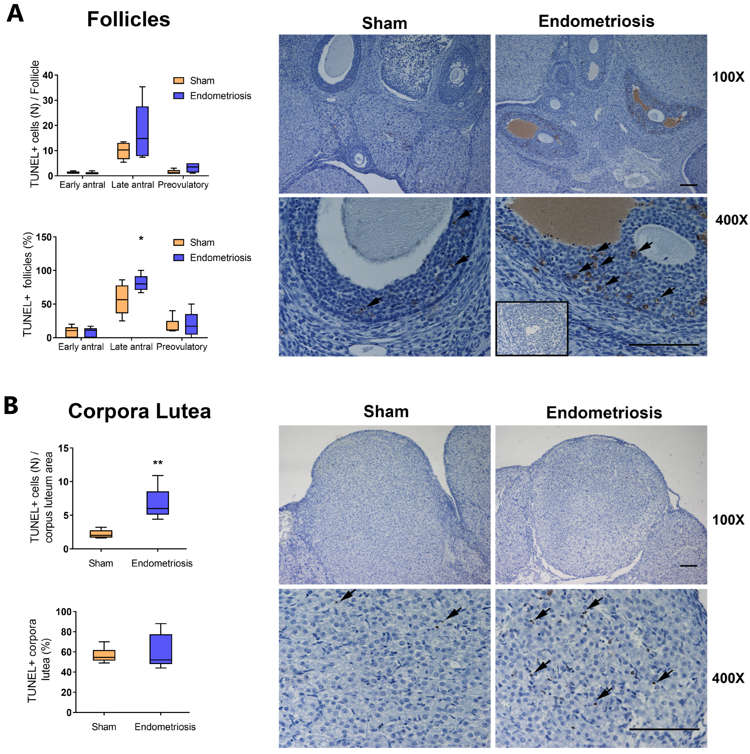 Biomedicines 13 00348 g002