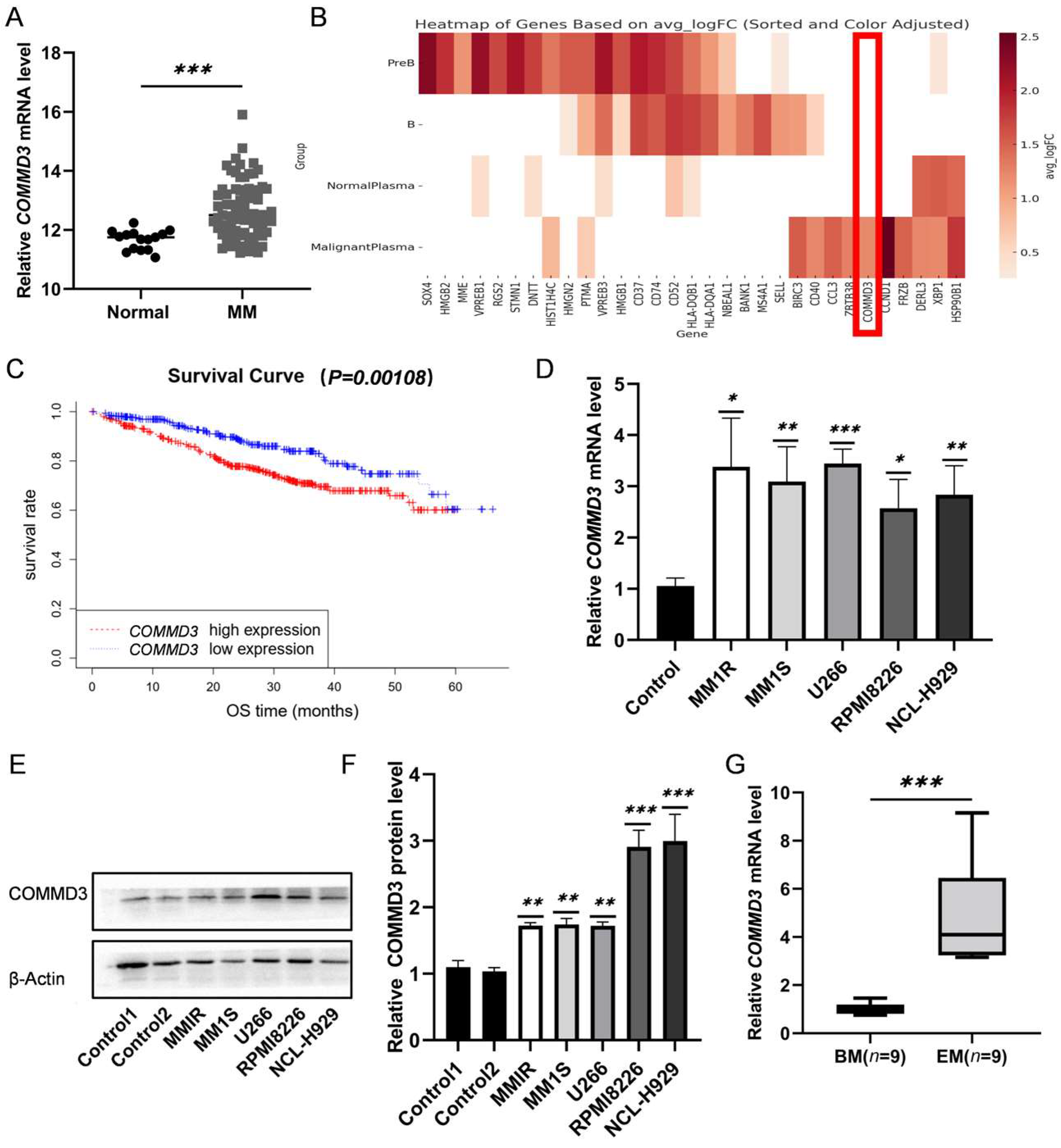 Biomedicines 13 00351 g001