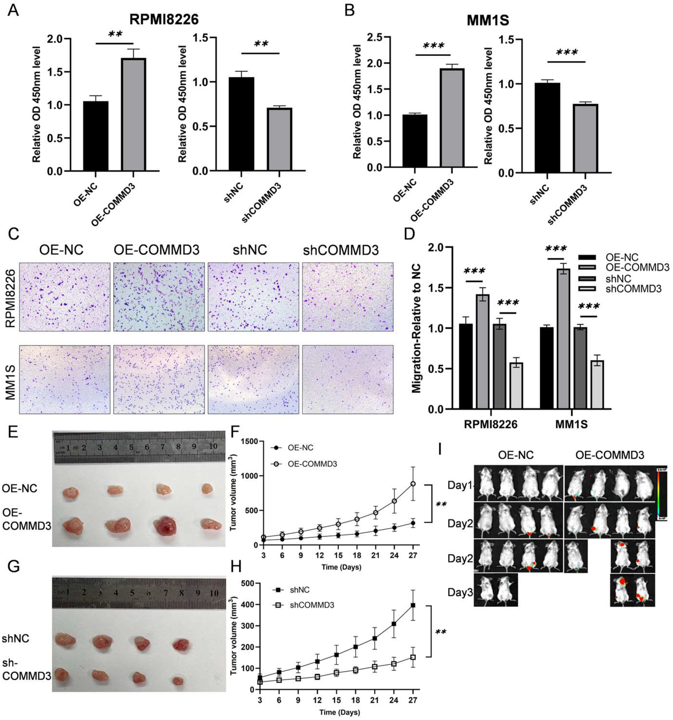 Biomedicines 13 00351 g002
