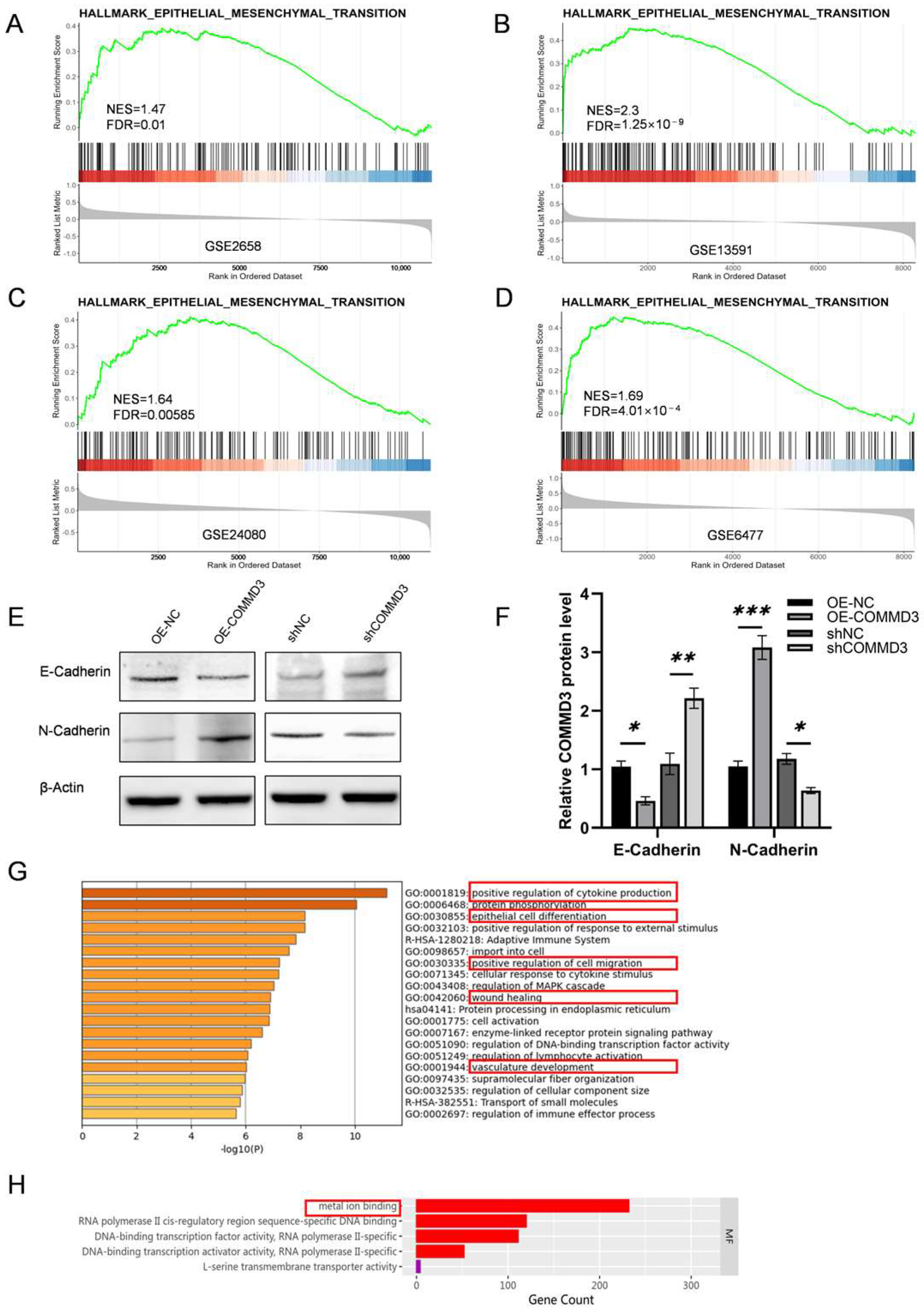 Biomedicines 13 00351 g003