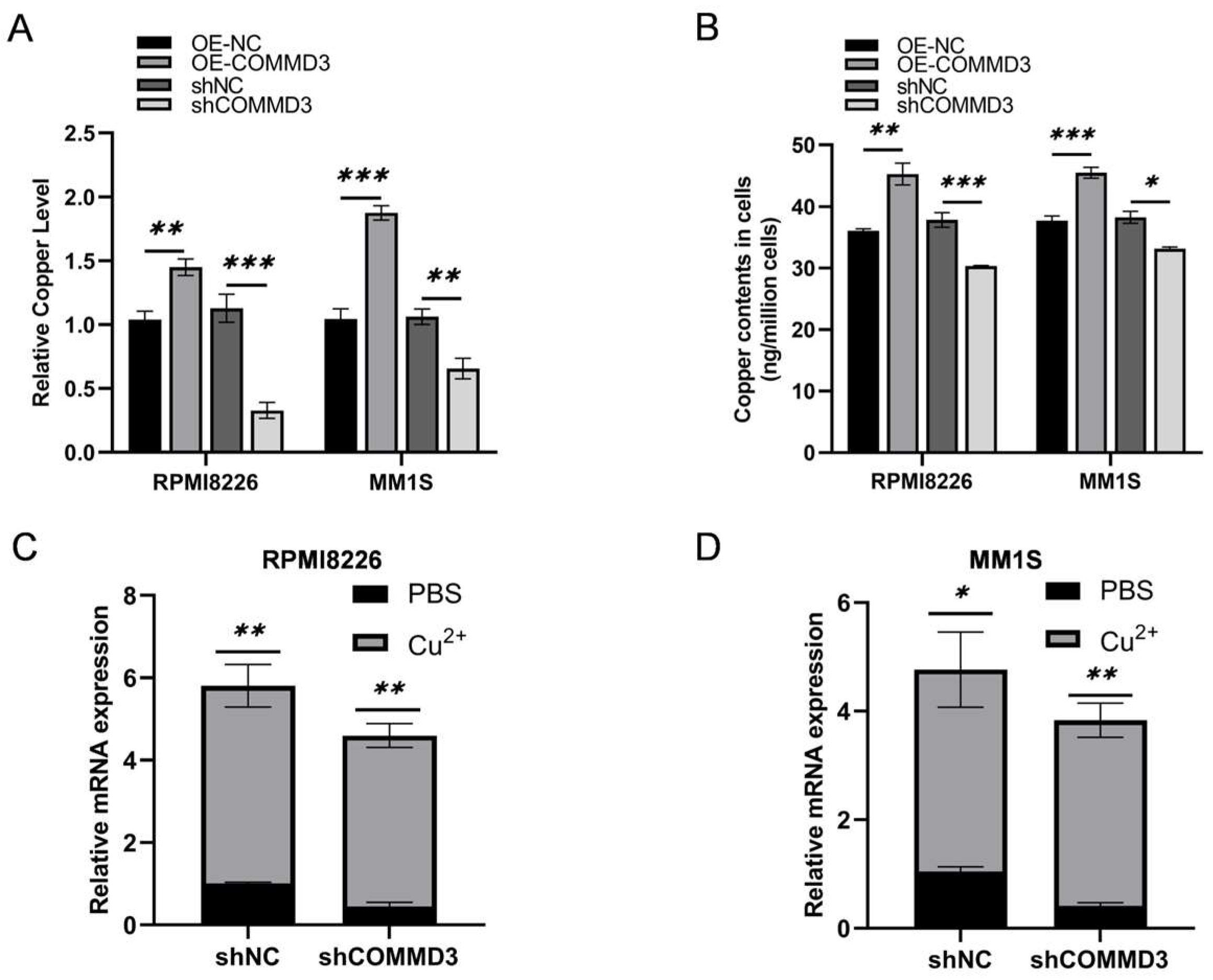Biomedicines 13 00351 g004