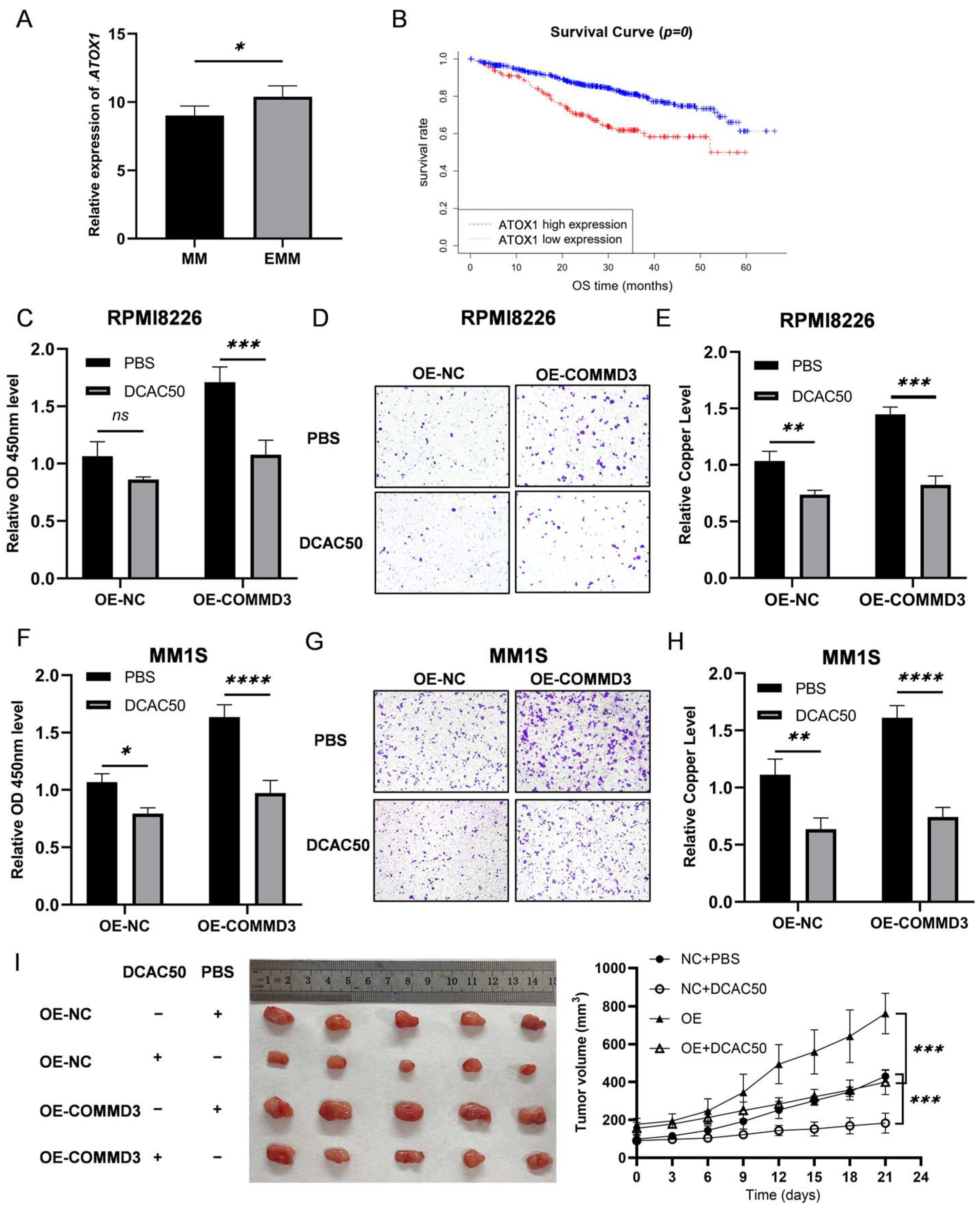 Biomedicines 13 00351 g005