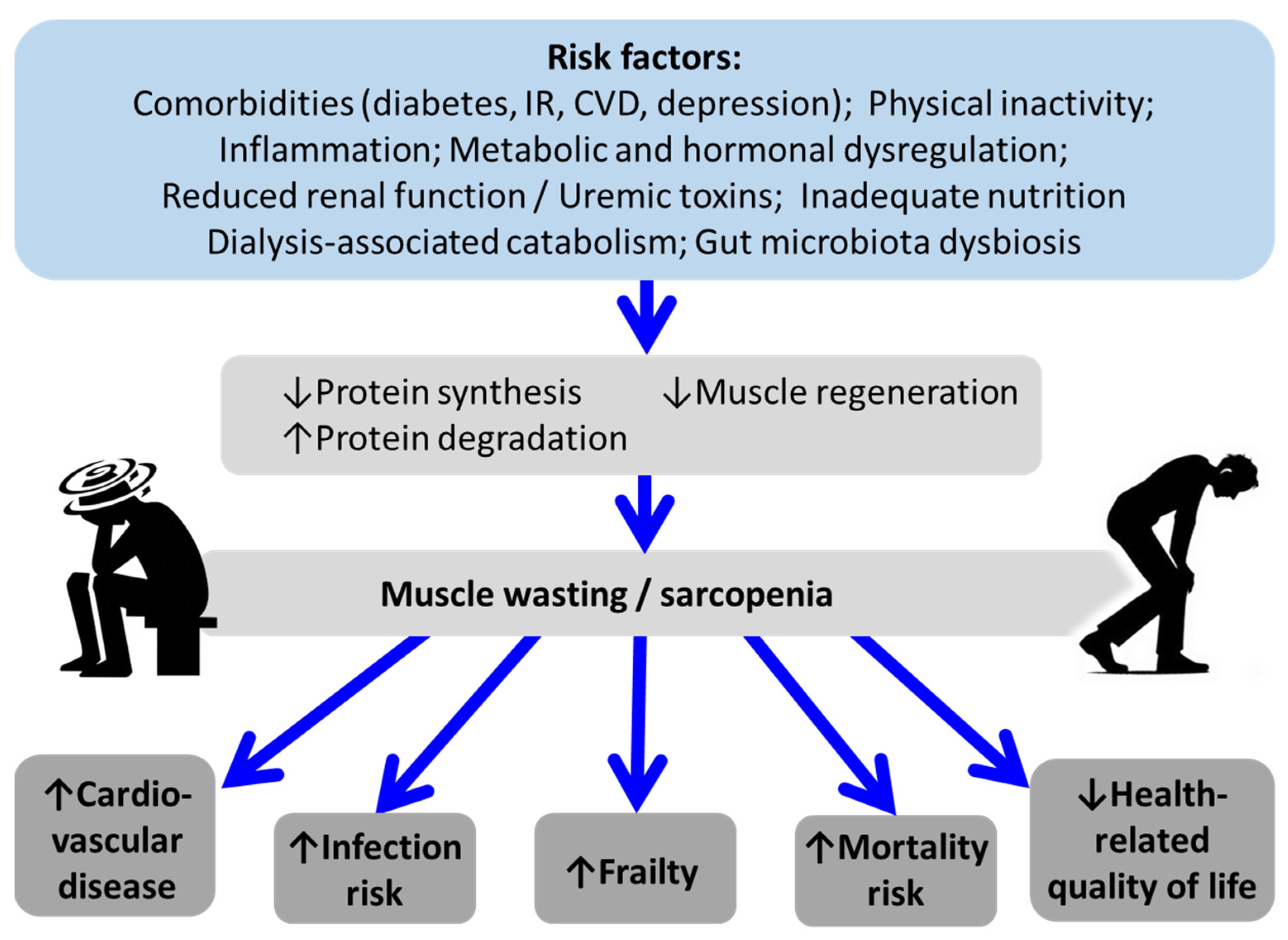 Biomedicines 13 00352 g002 Biomedicines 13 00352 g002