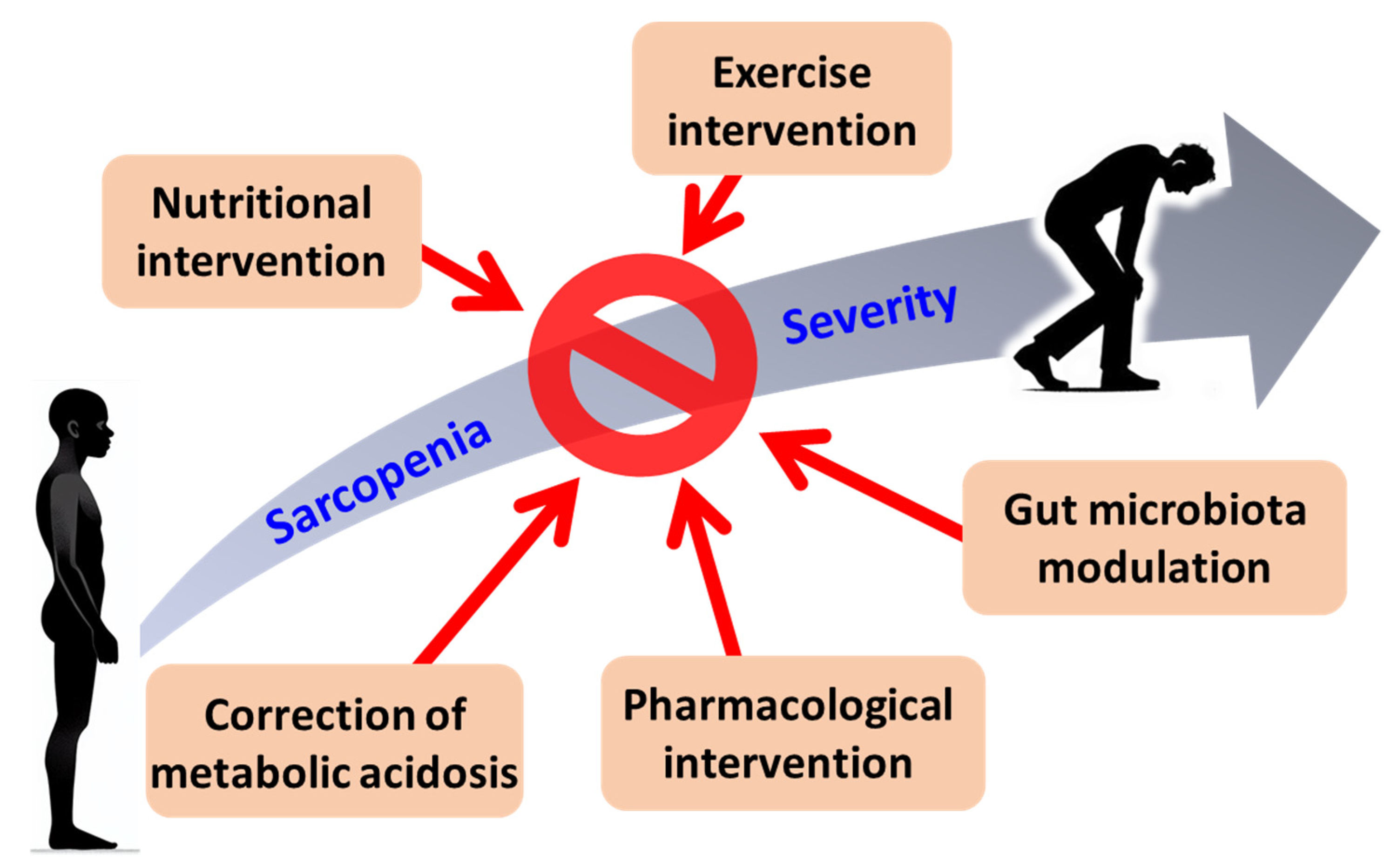 Biomedicines 13 00352 g003 Biomedicines 13 00352 g003