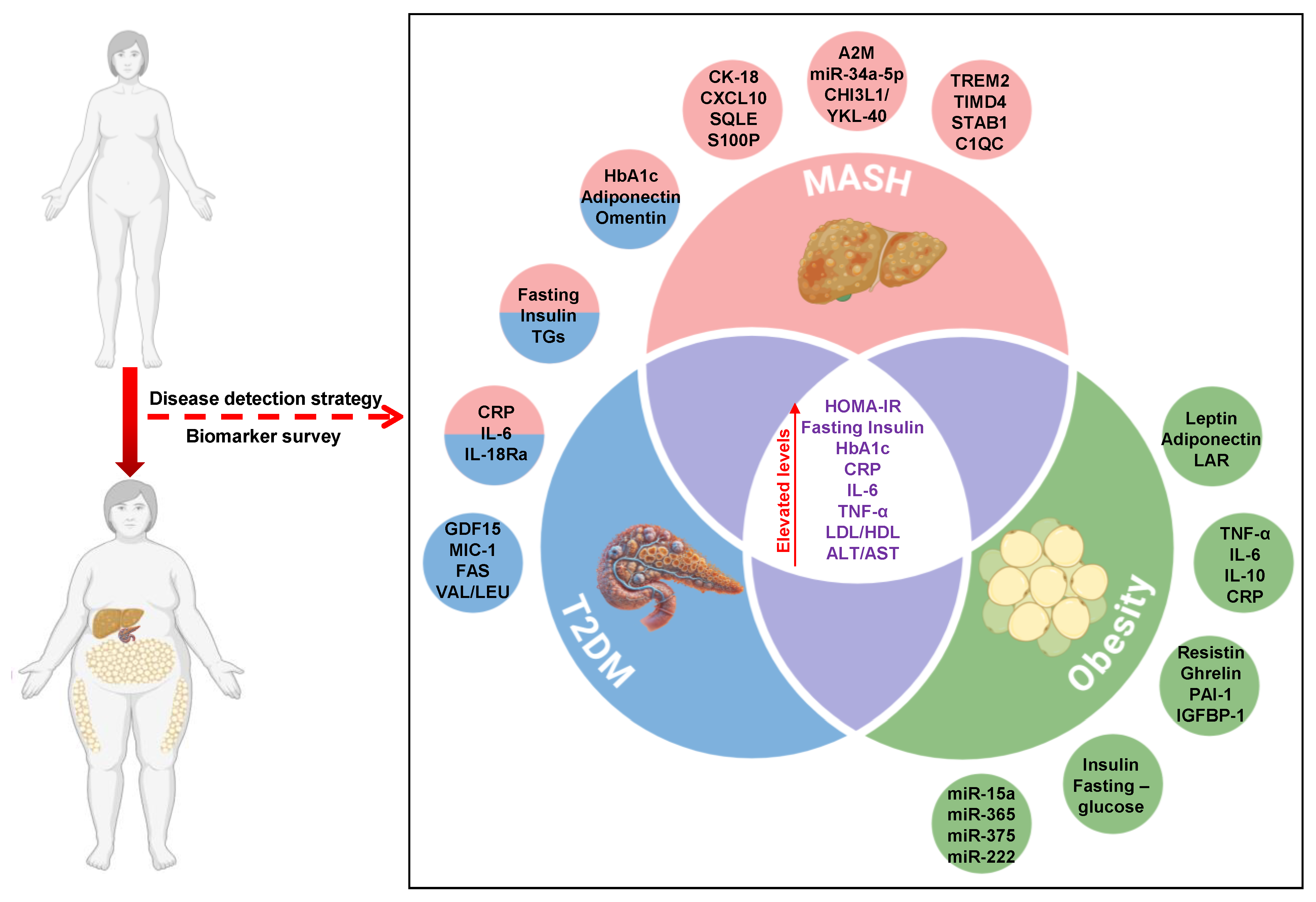 Biomedicines 13 00359 g001 Biomedicines 13 00359 g001