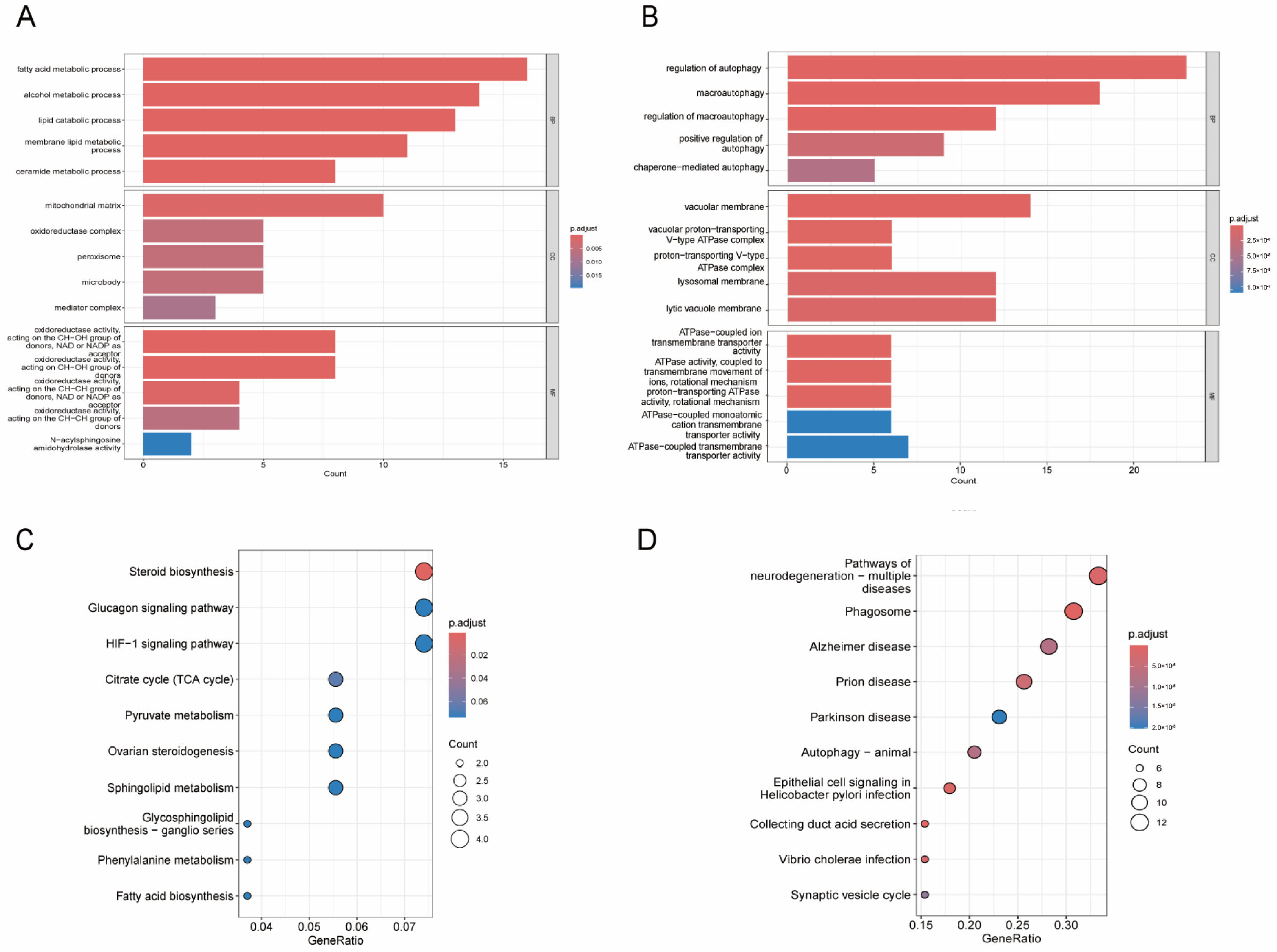 Biomedicines 13 00362 g004 Biomedicines 13 00362 g004