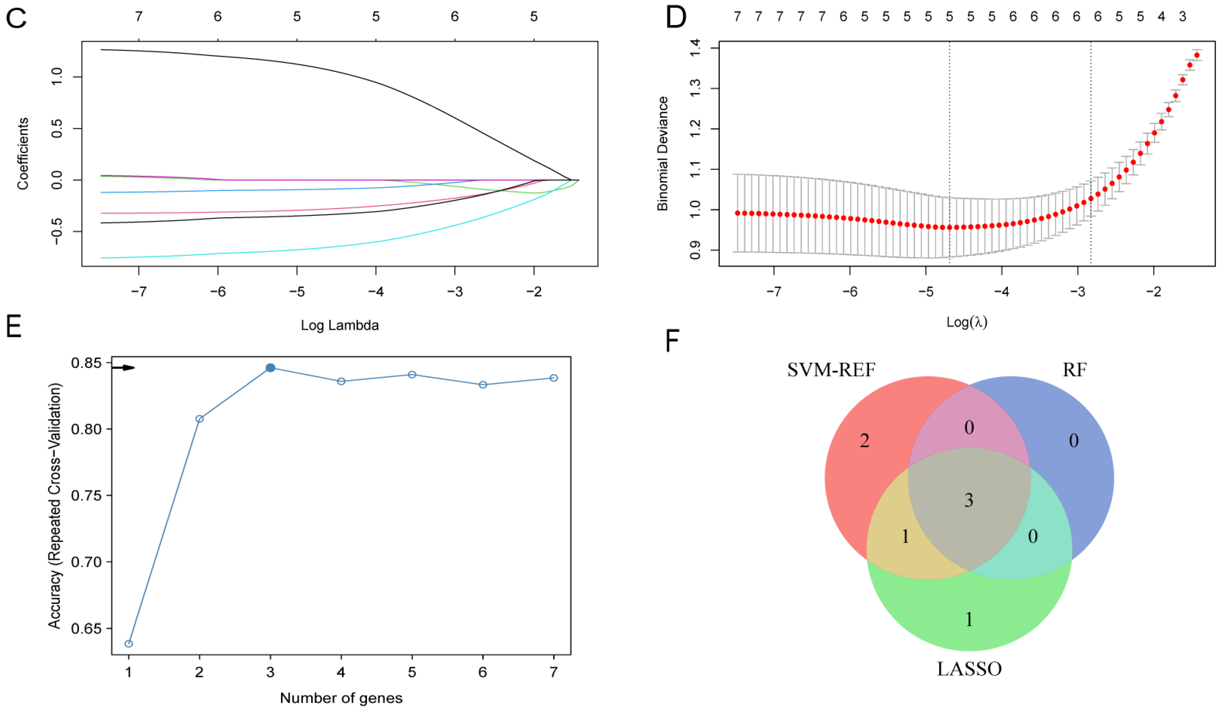 Biomedicines 13 00362 g006b Biomedicines 13 00362 g006b