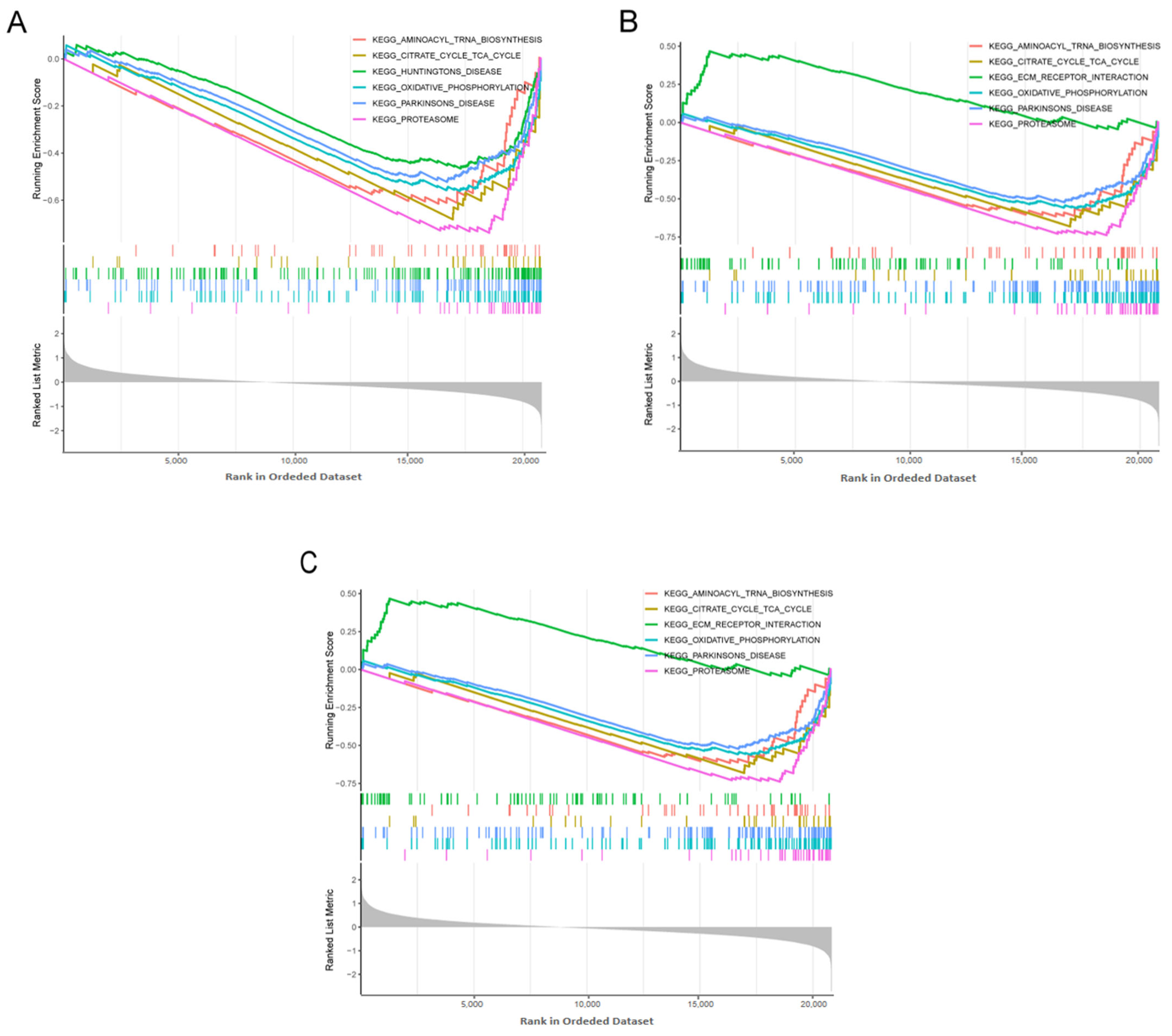 Biomedicines 13 00362 g009 Biomedicines 13 00362 g009