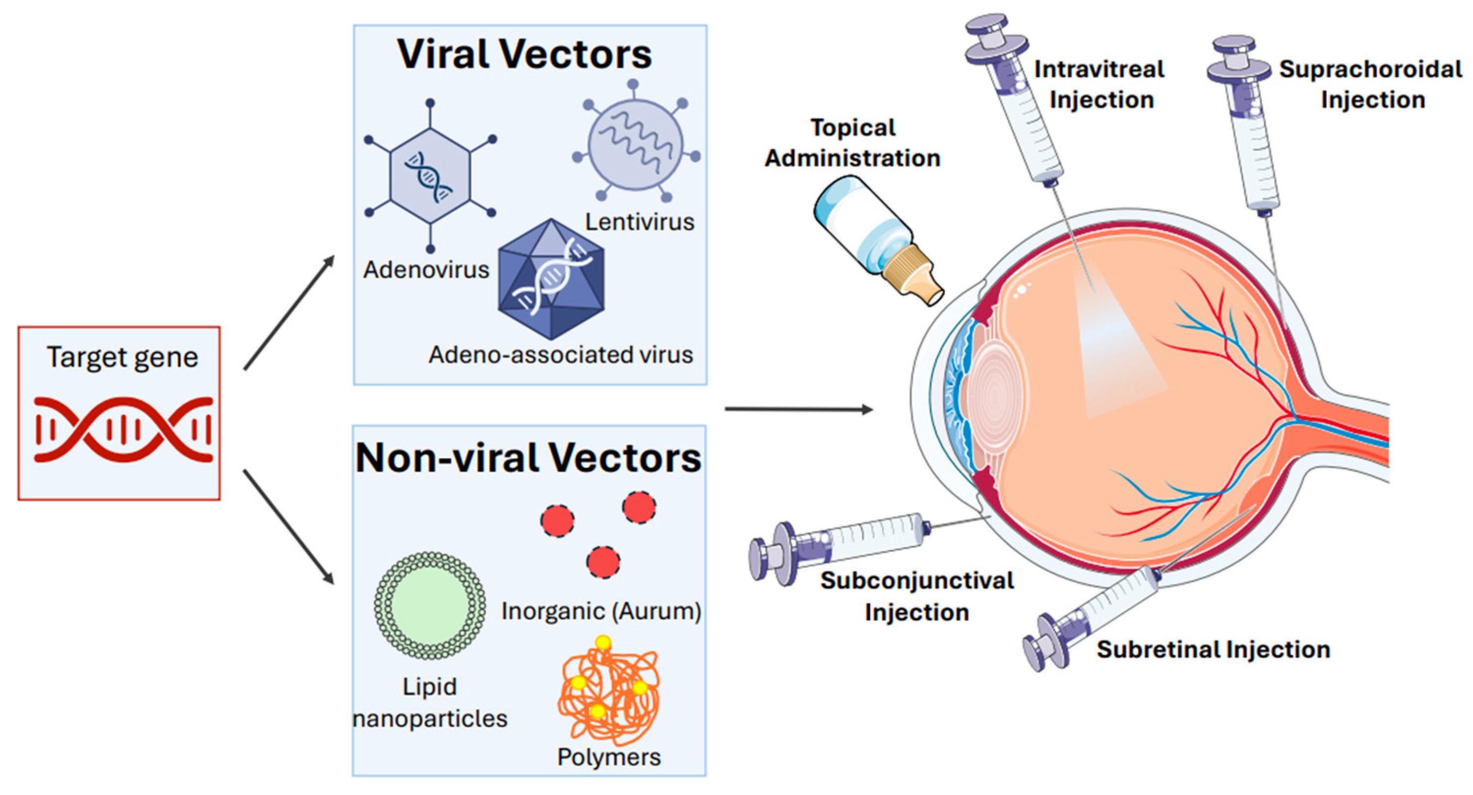 Biomedicines 13 00365 g001 Biomedicines 13 00365 g001