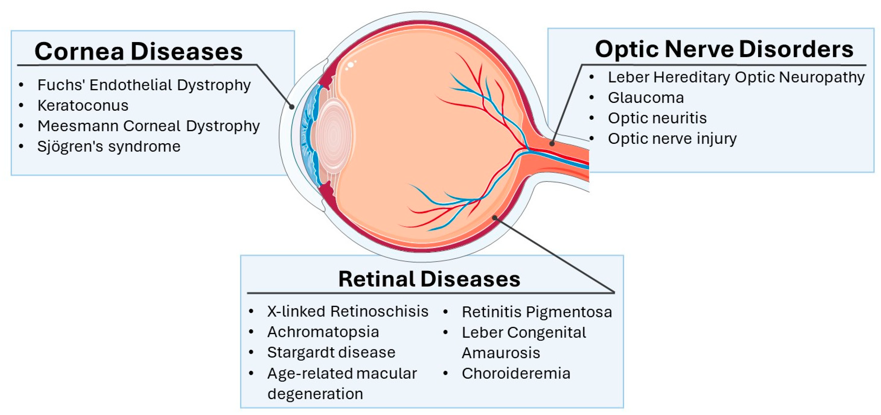 Biomedicines 13 00365 g002 Biomedicines 13 00365 g002