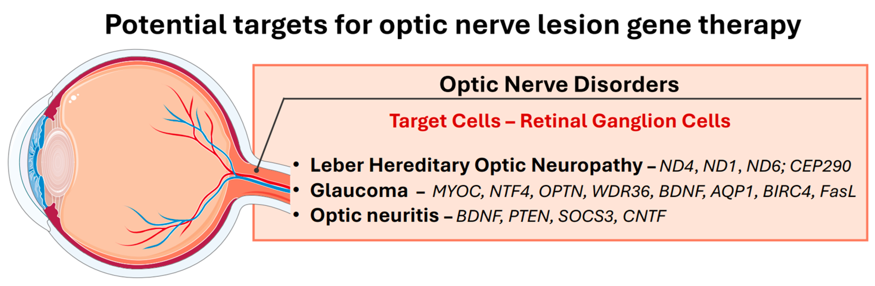 Biomedicines 13 00365 g003 Biomedicines 13 00365 g003