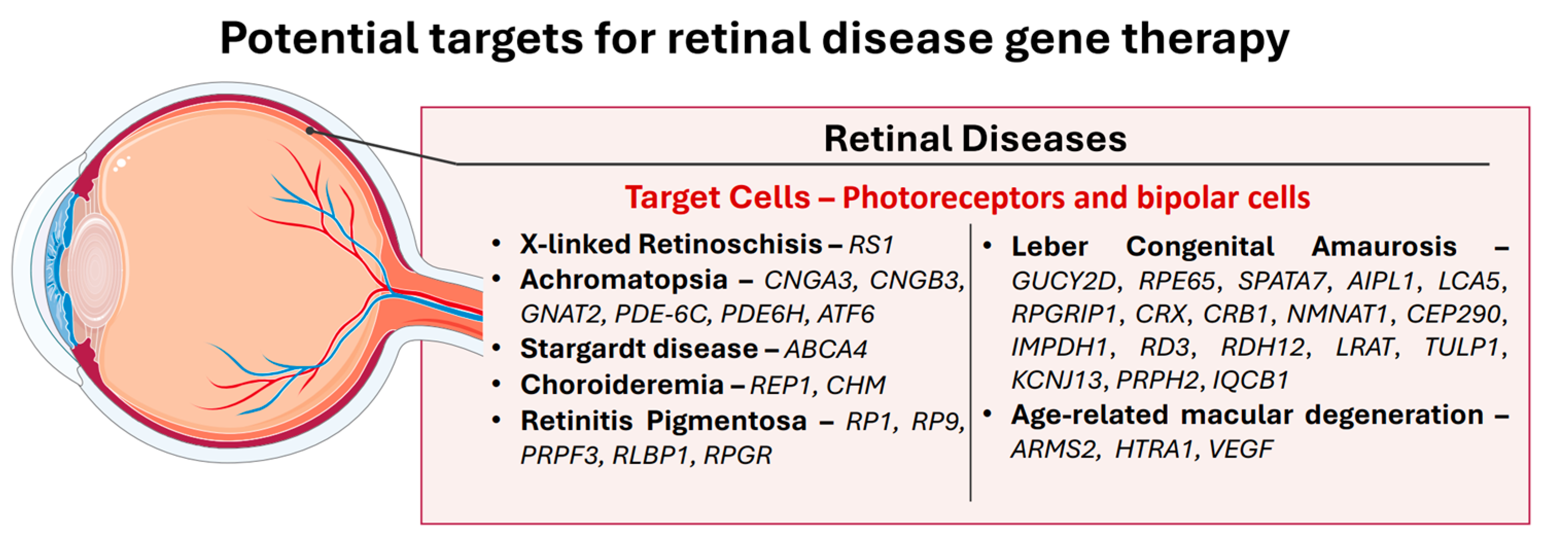 Biomedicines 13 00365 g005 Biomedicines 13 00365 g005