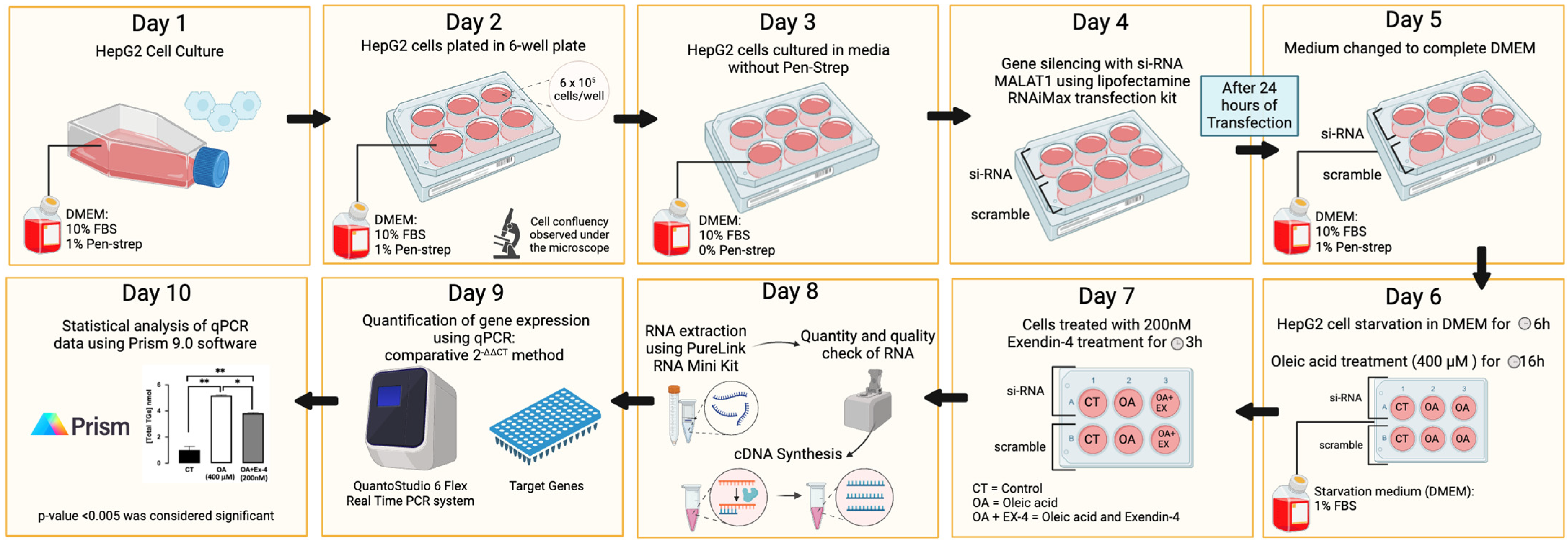 Biomedicines 13 00370 g001
