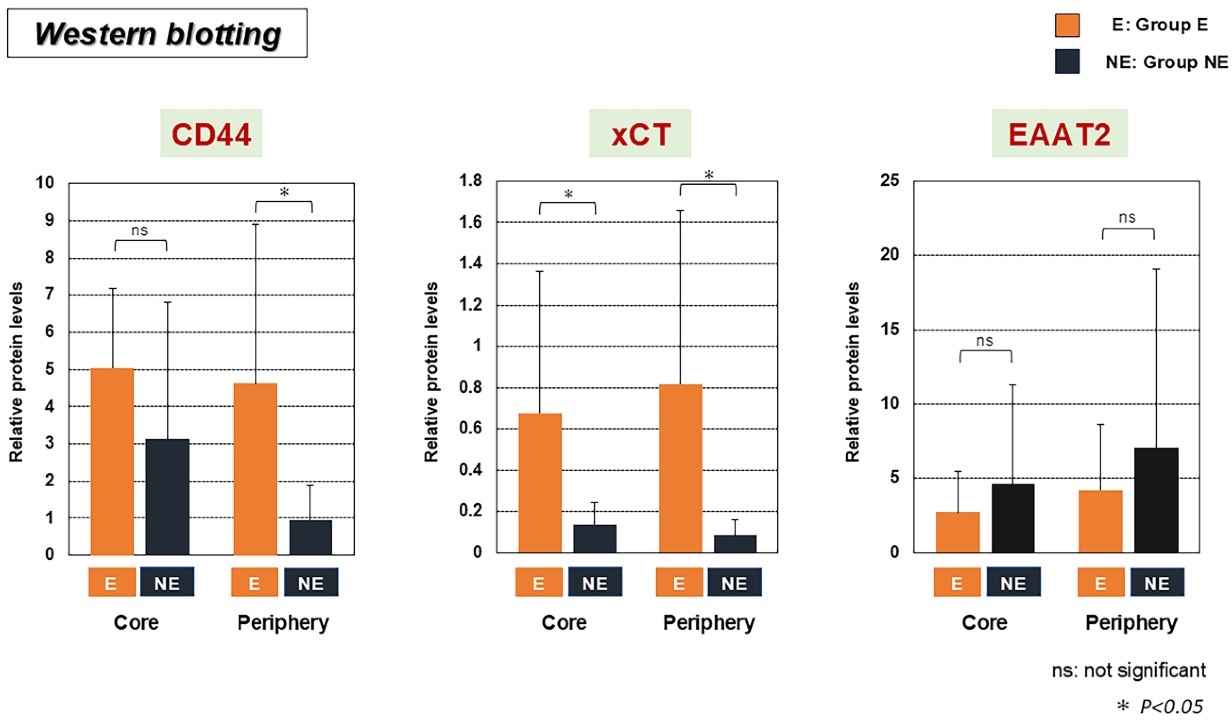 Biomedicines 13 00372 g002