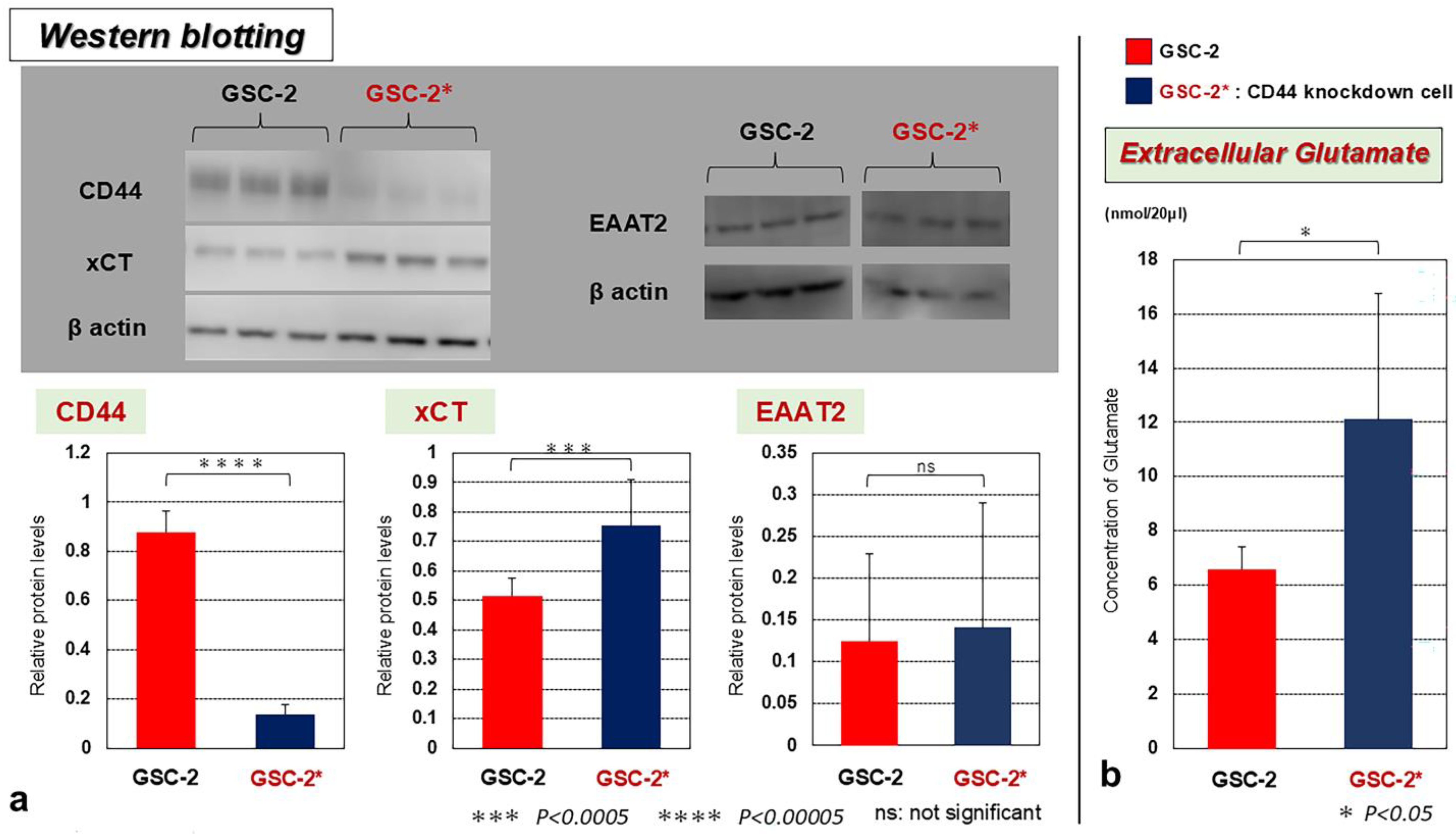 Biomedicines 13 00372 g004