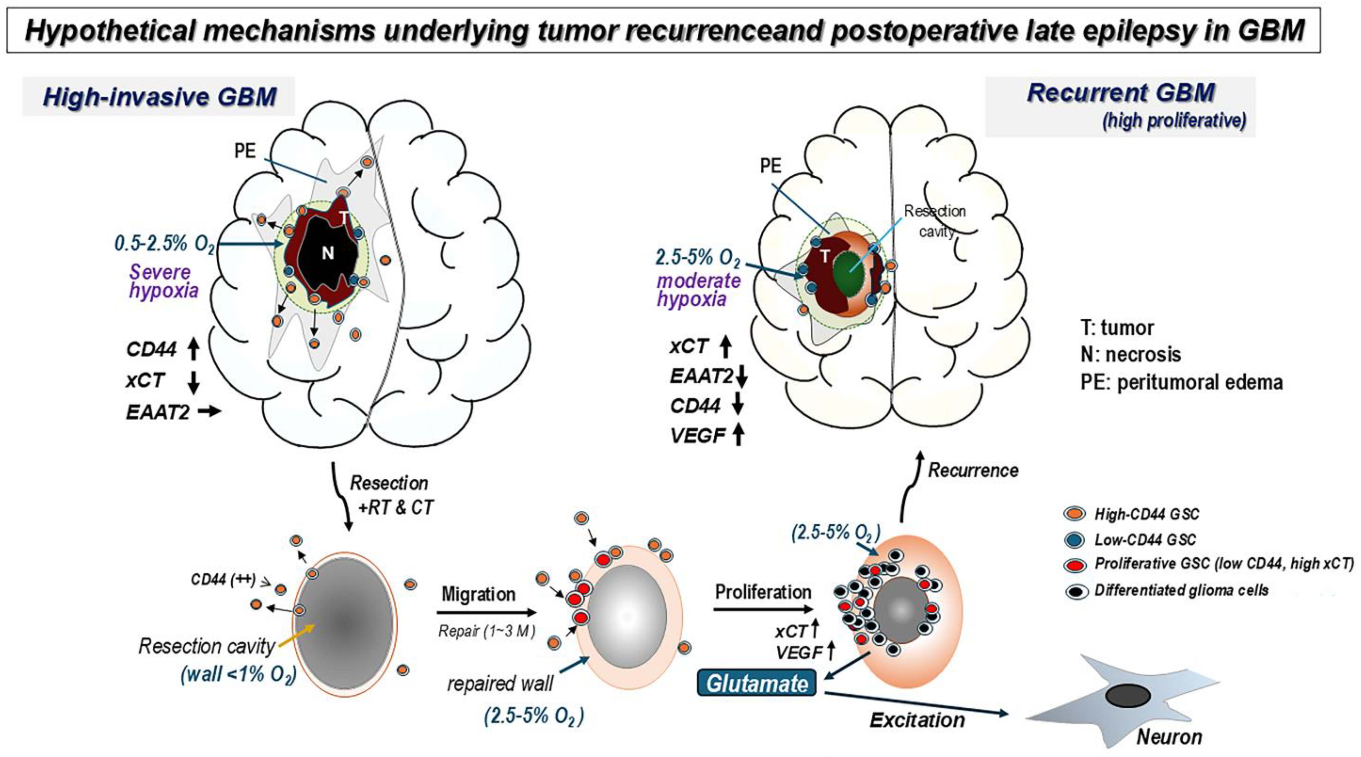 Biomedicines 13 00372 g007