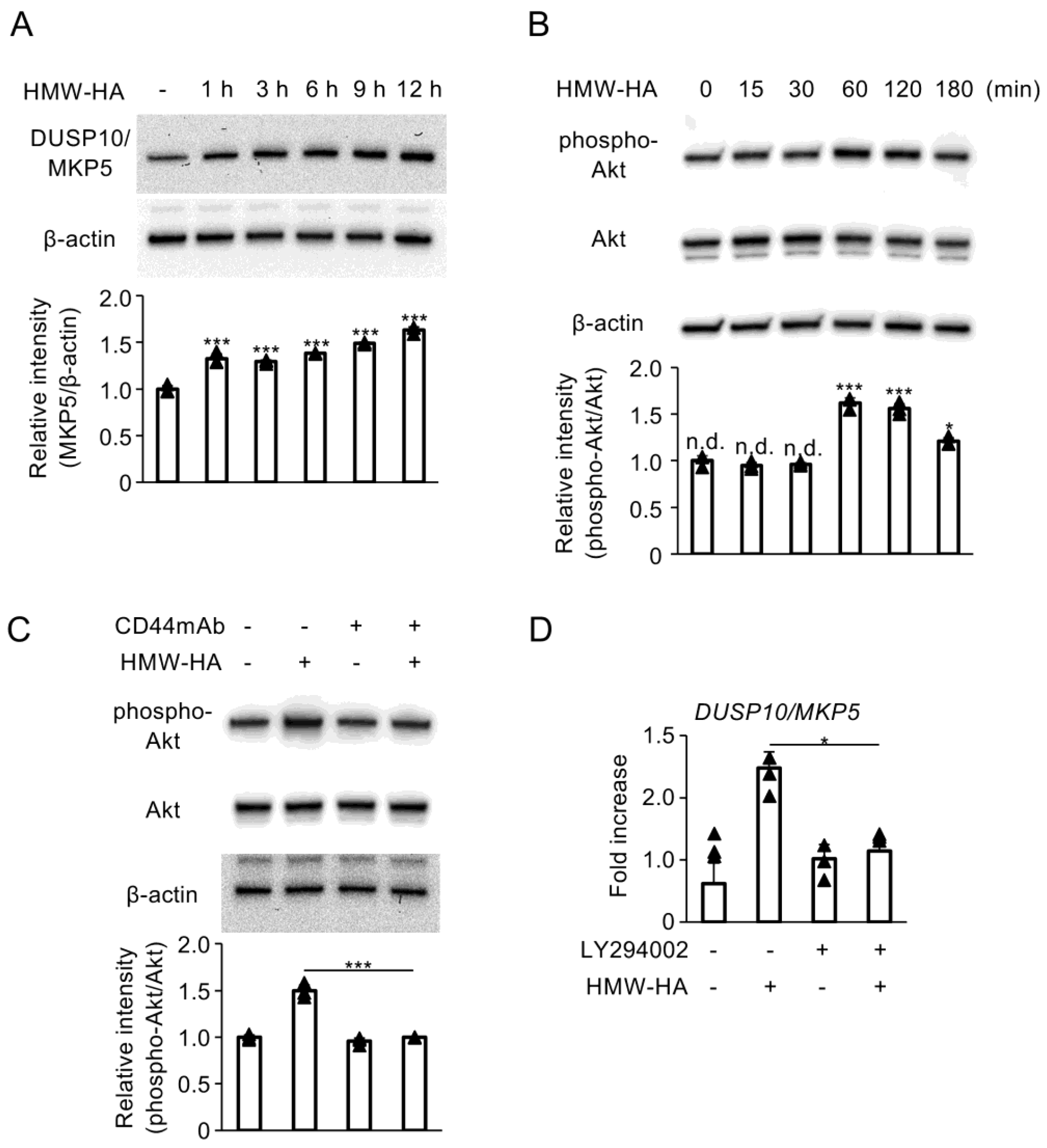 Biomedicines 13 00376 g001 Biomedicines 13 00376 g001