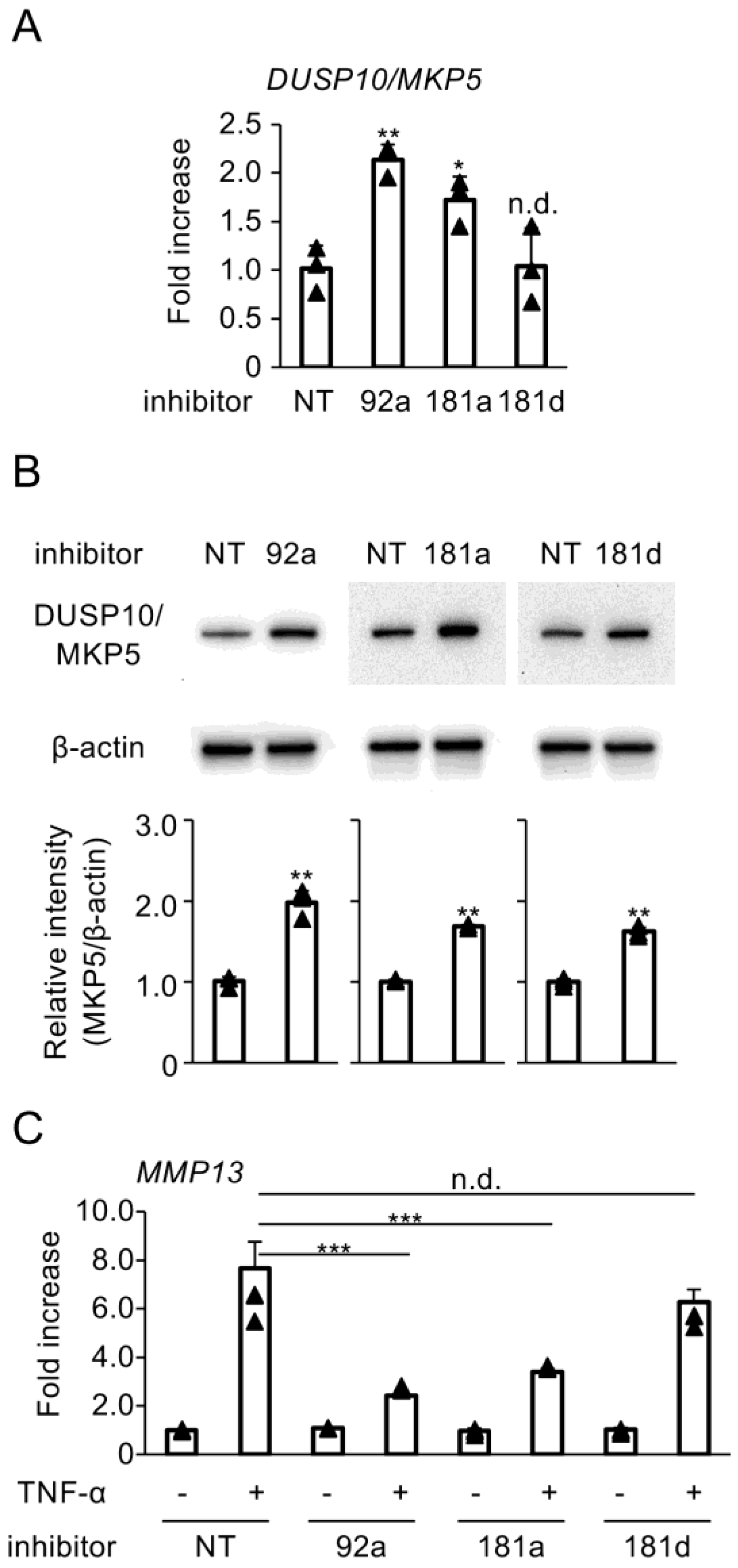 Biomedicines 13 00376 g003 Biomedicines 13 00376 g003