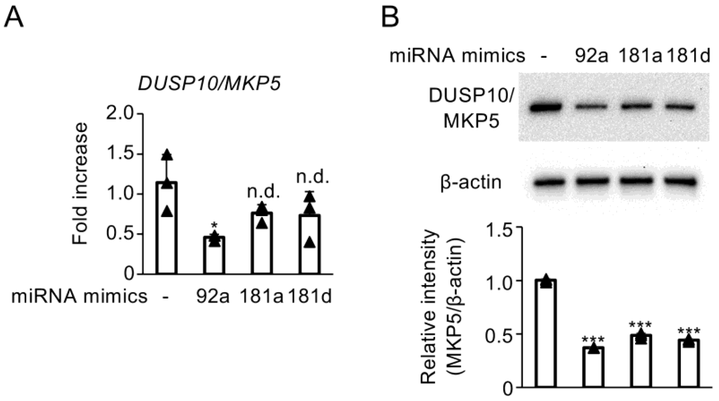 Biomedicines 13 00376 g004 Biomedicines 13 00376 g004