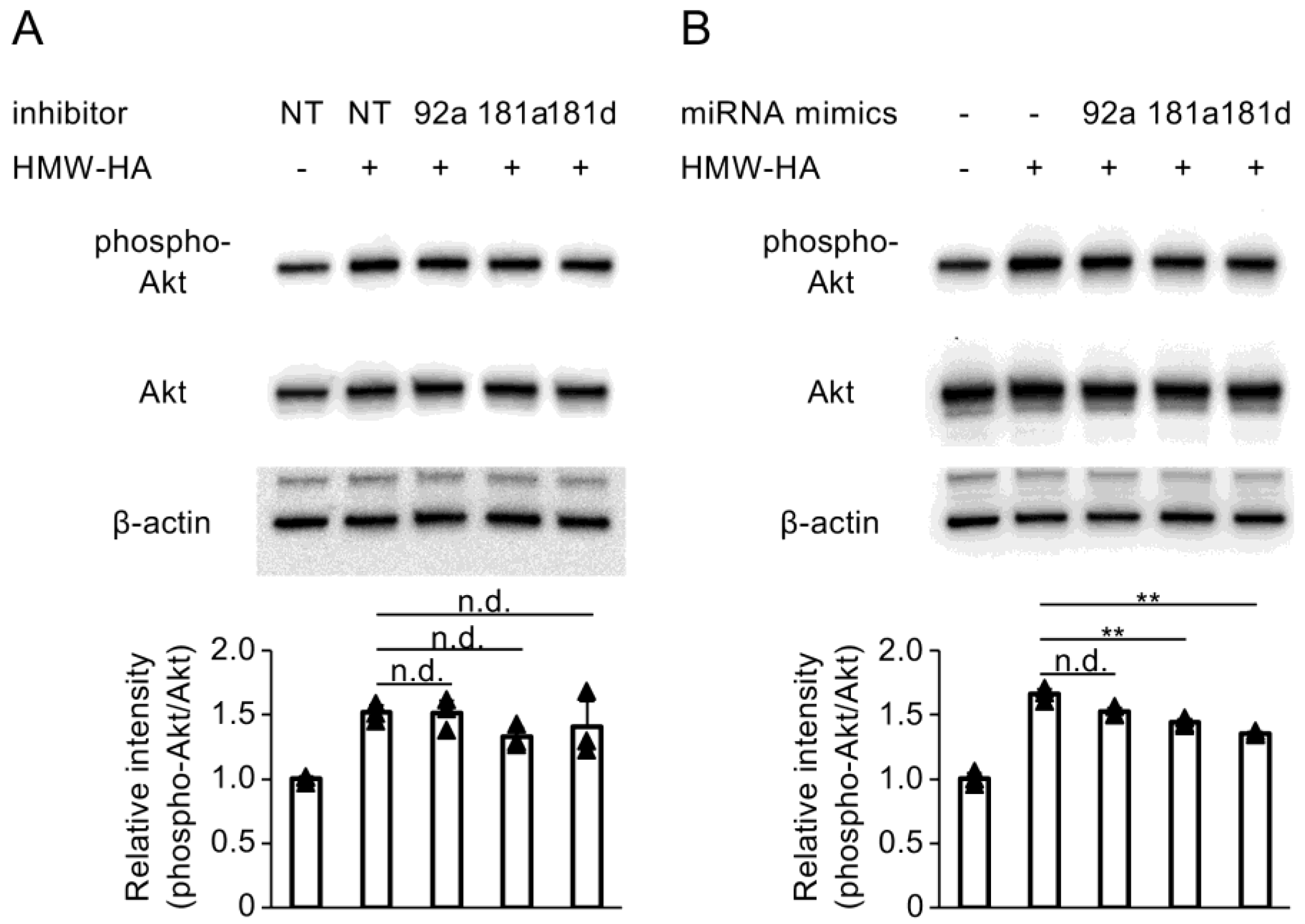 Biomedicines 13 00376 g005 Biomedicines 13 00376 g005