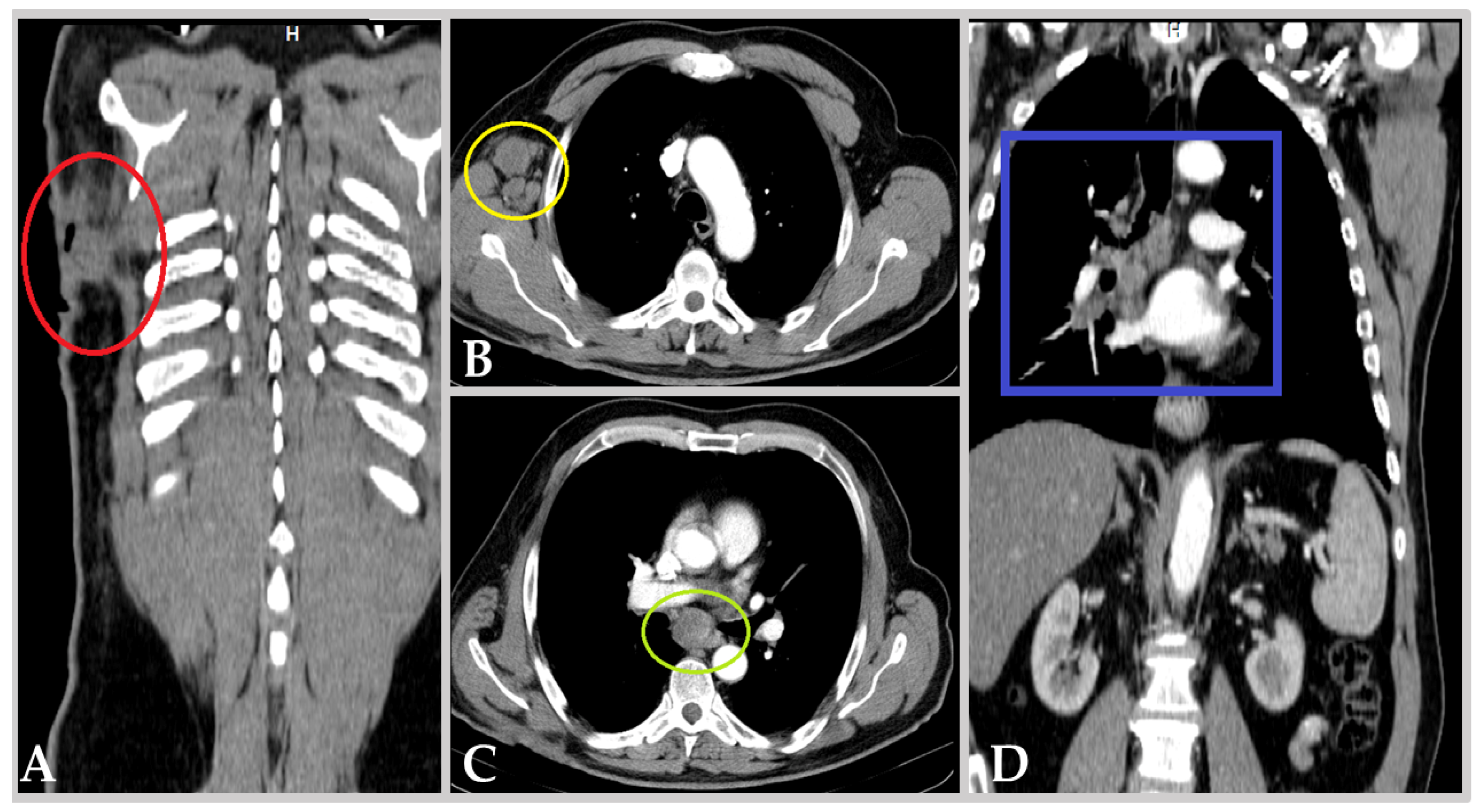 Biomedicines 13 00377 g001