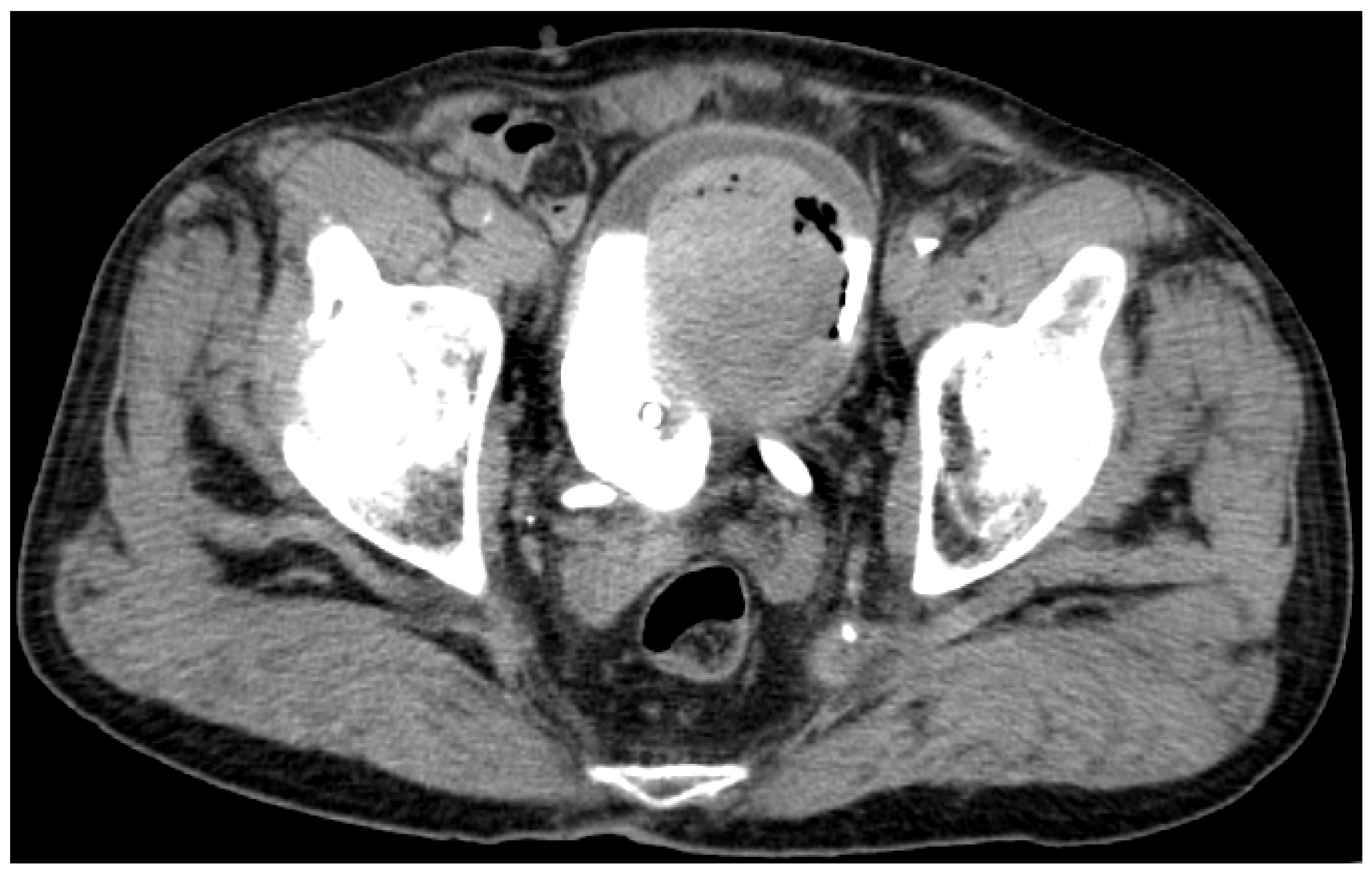 Biomedicines 13 00377 g002