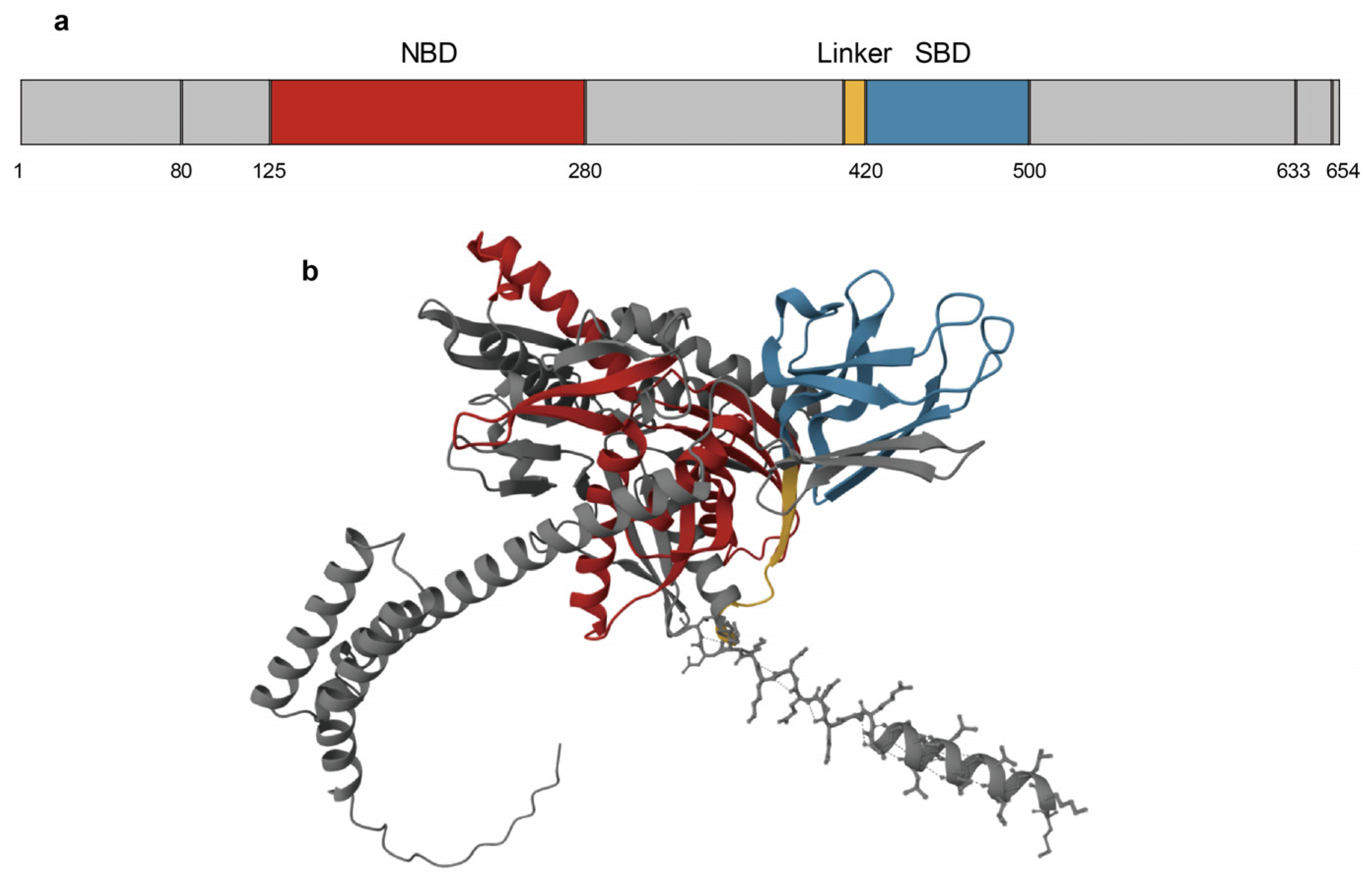 Biomedicines 13 00382 g001 Biomedicines 13 00382 g001