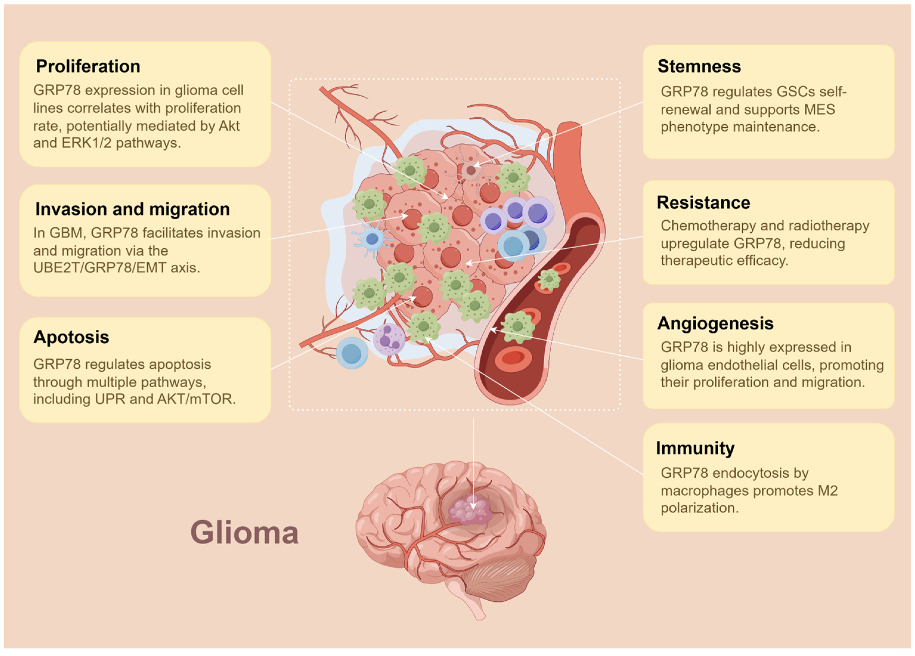 Biomedicines 13 00382 g003 Biomedicines 13 00382 g003